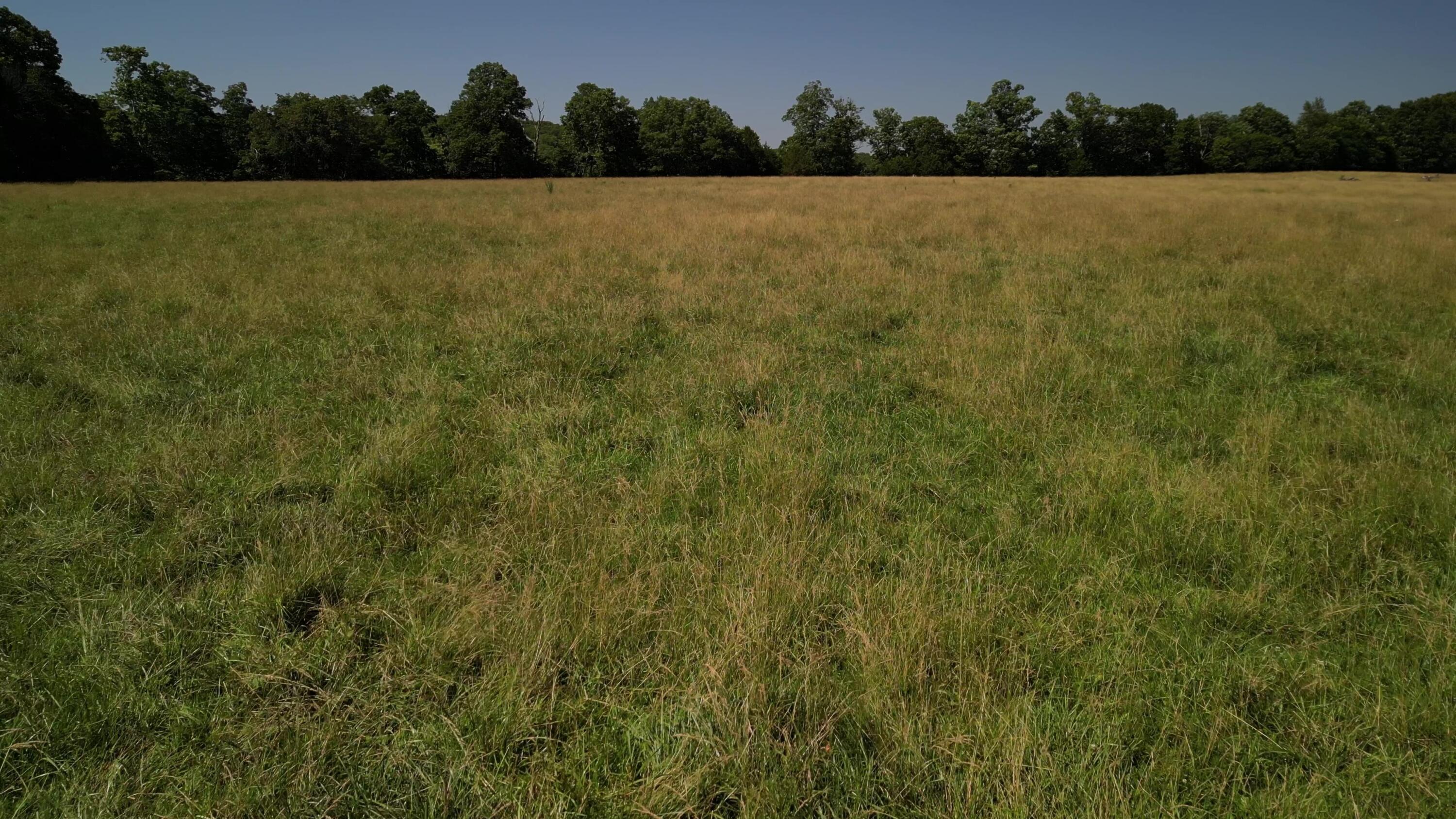 000 County Road 422 Property Photo 56