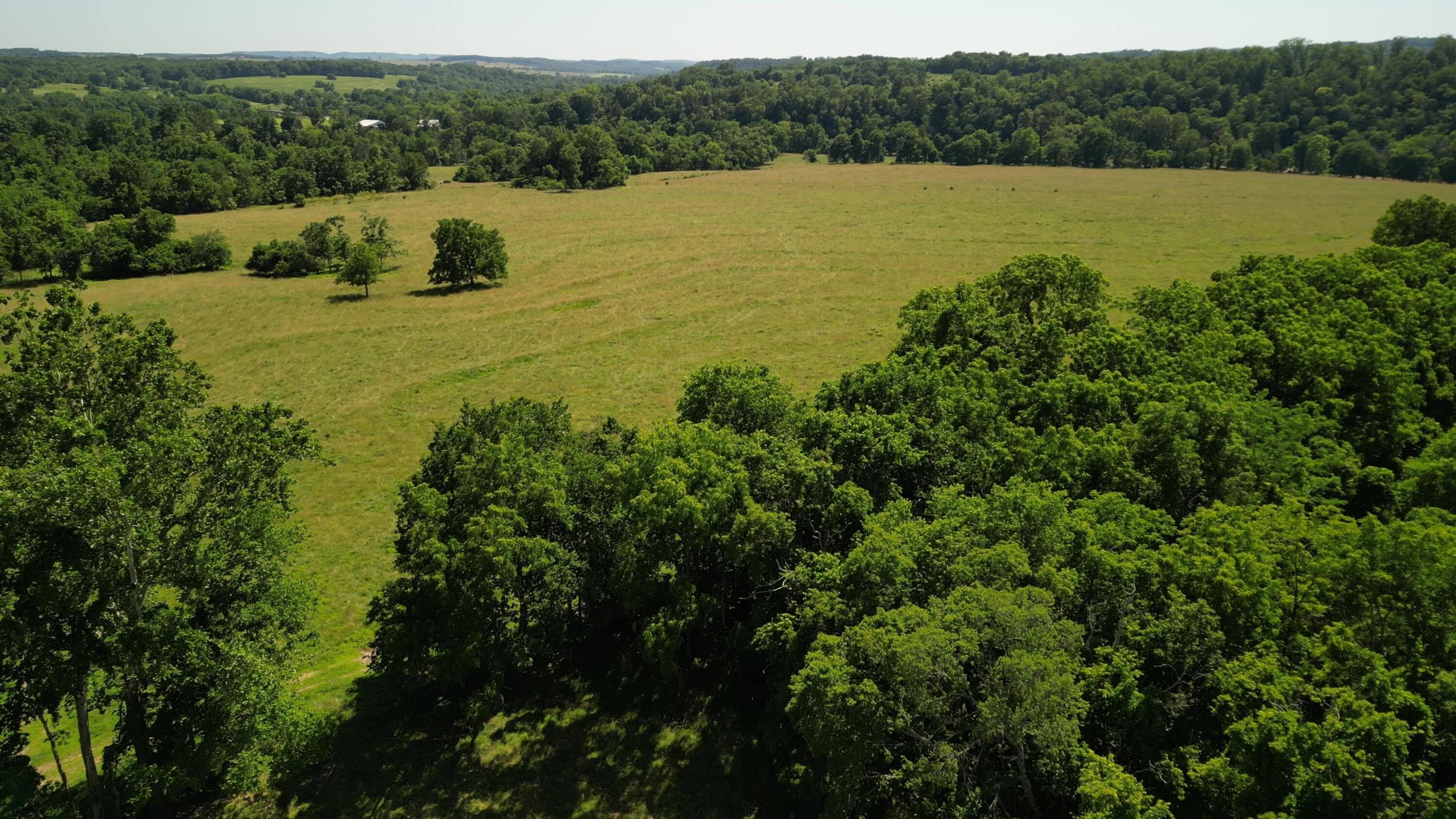 000 County Road 422 Property Photo 57