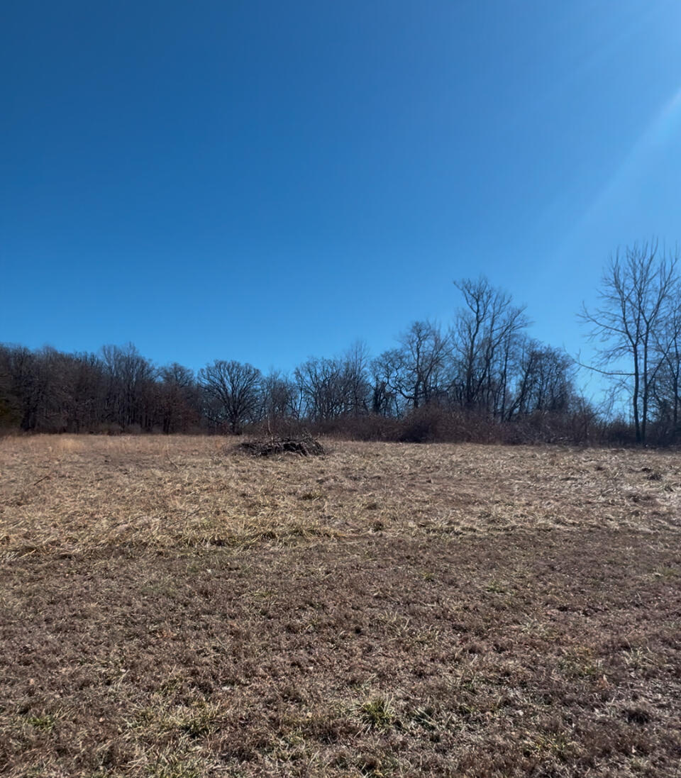 1612 South Jefferson Street Property Photo 17