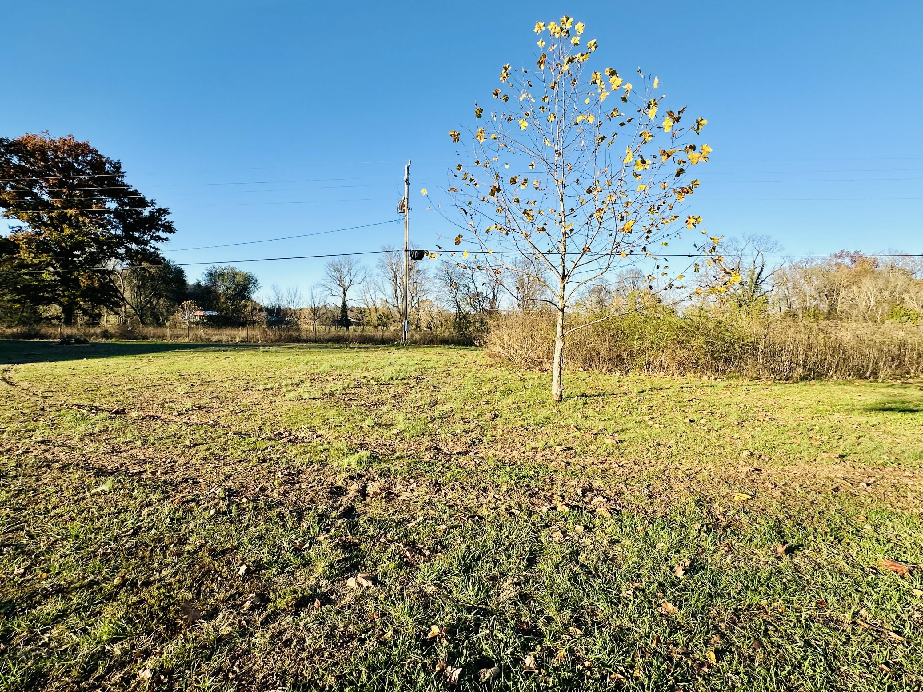 267 State Highway 142 Property Photo 67
