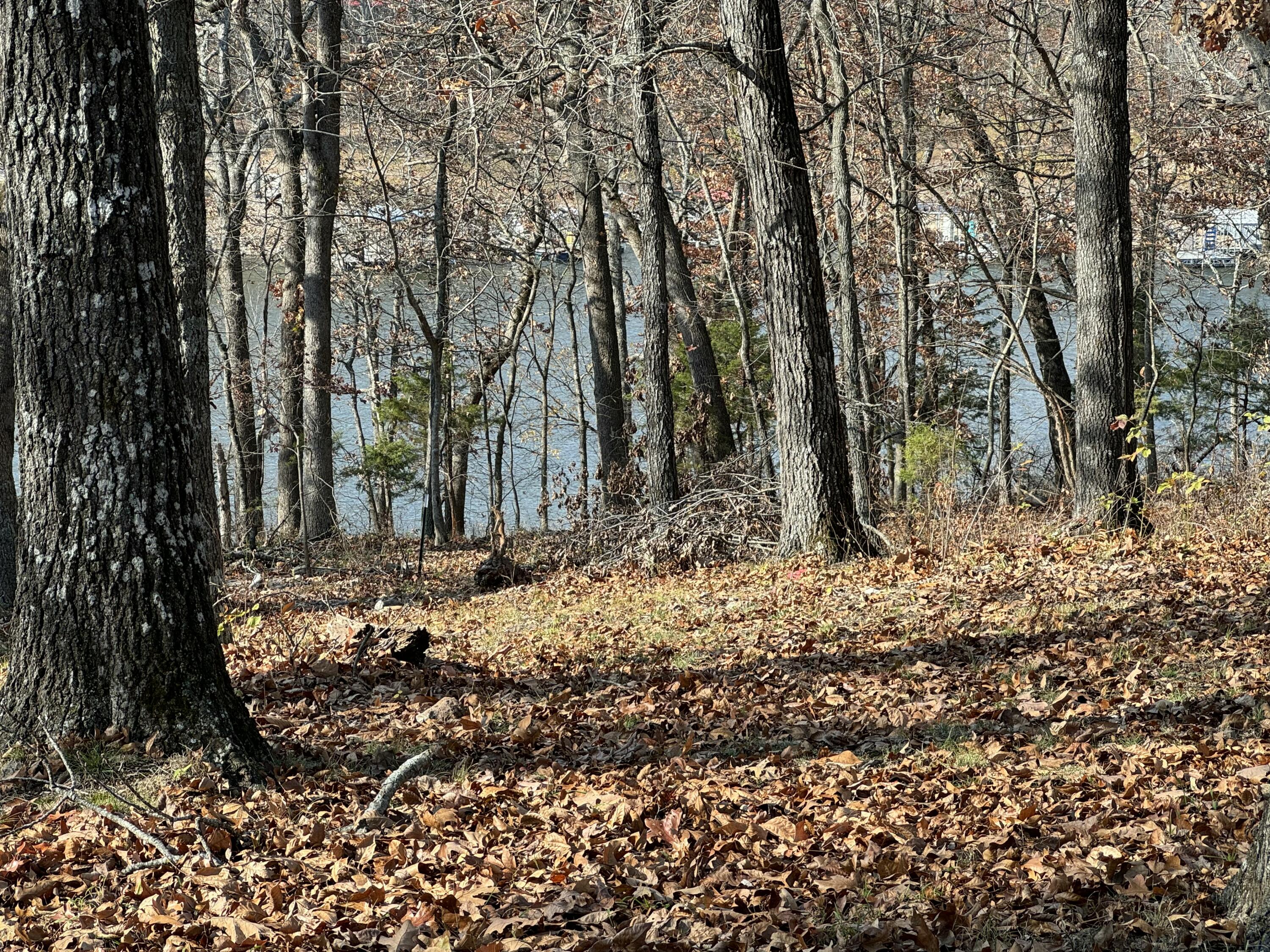 21377 Dogwood Lane Property Photo 3