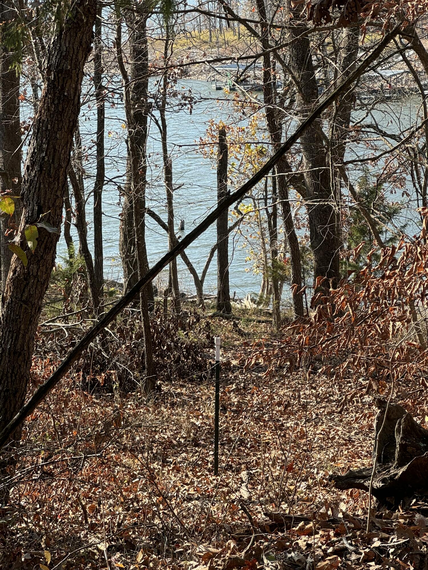 21377 Dogwood Lane Property Photo 92