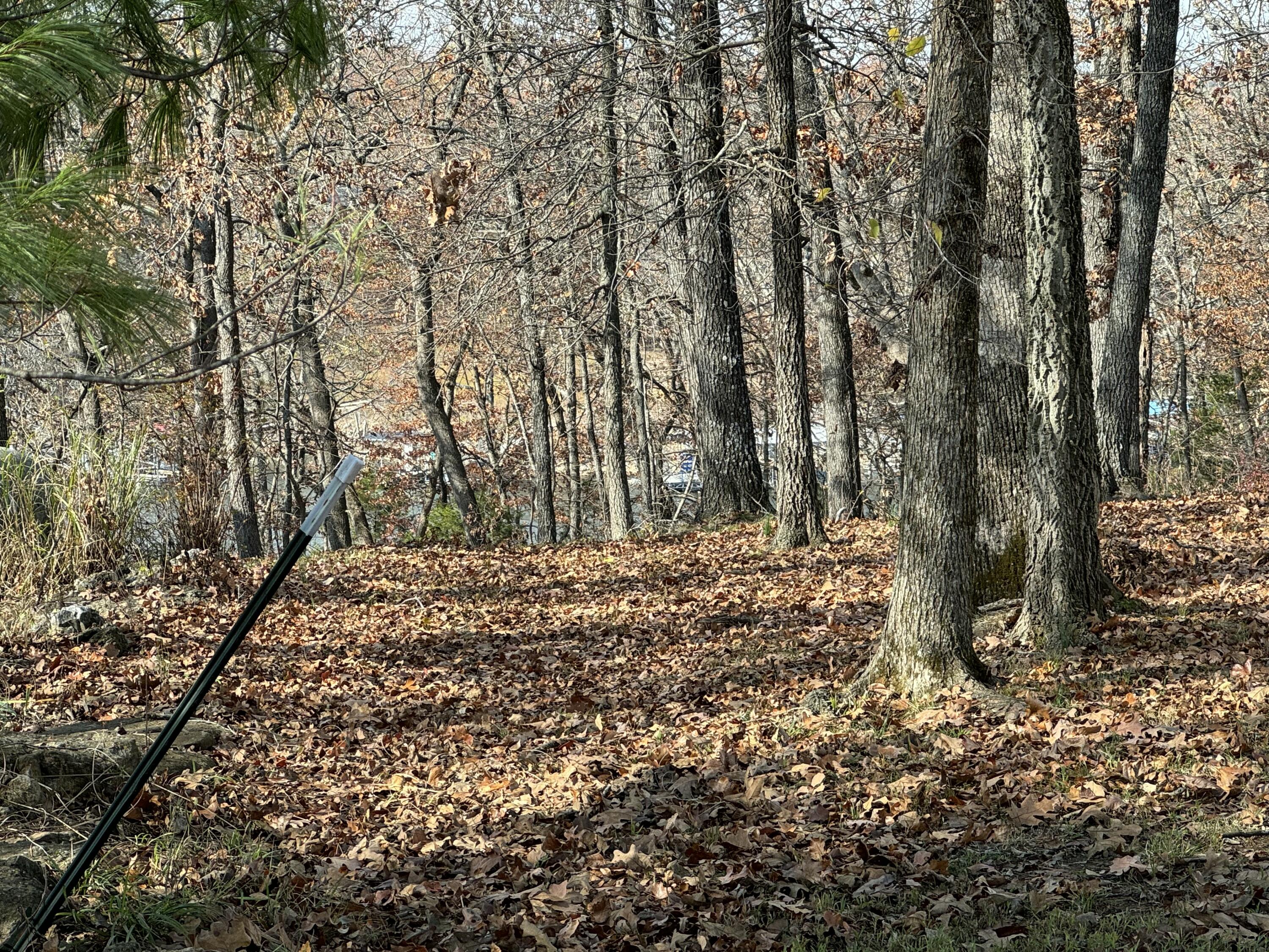 21377 Dogwood Lane Property Photo 95
