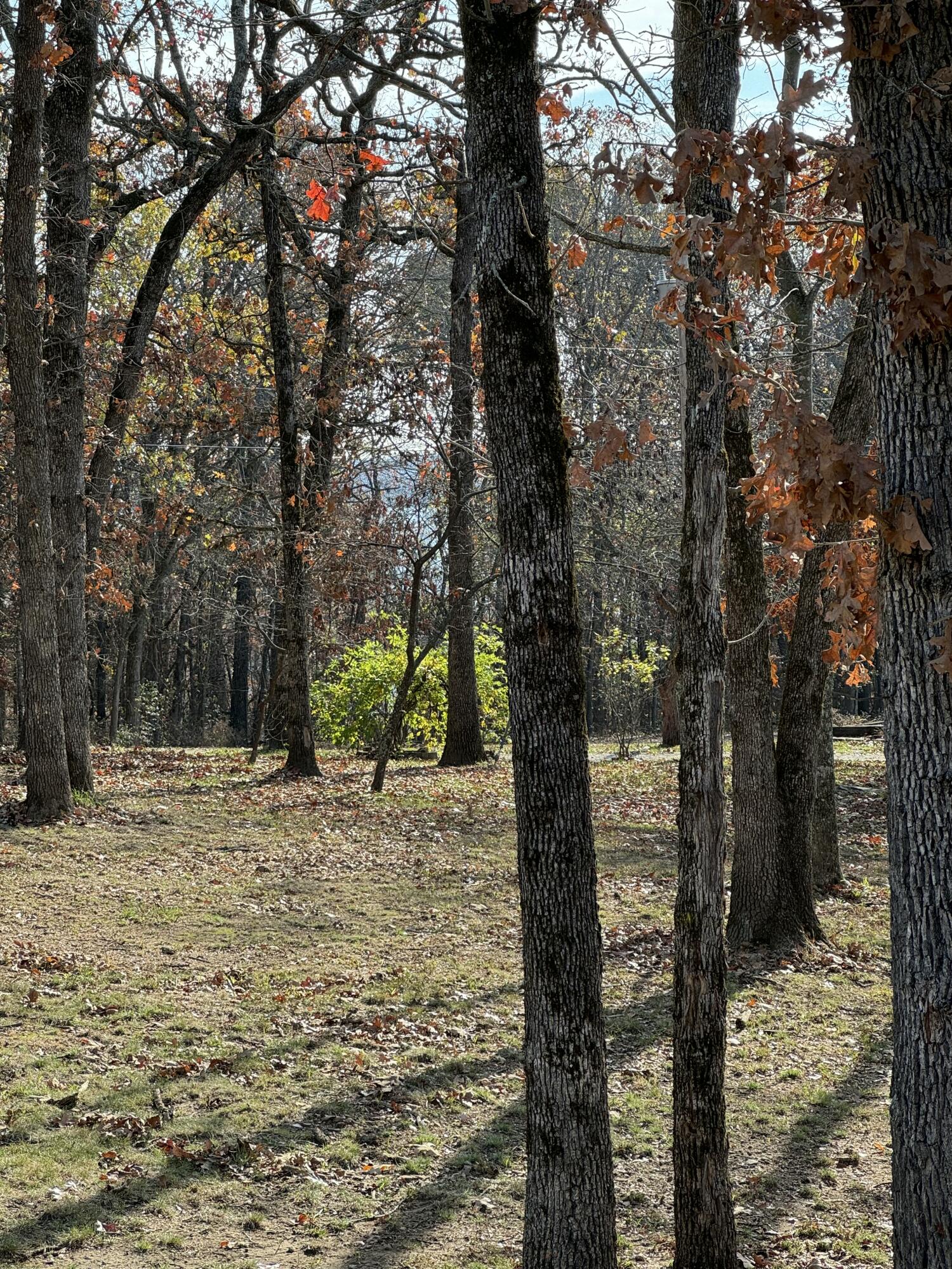 21377 Dogwood Lane Property Photo 96