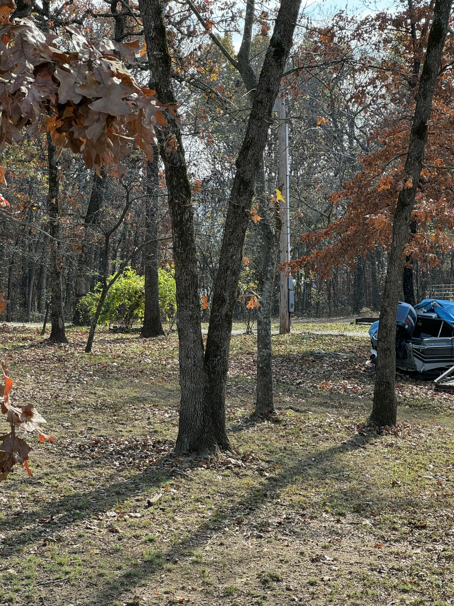 21377 Dogwood Lane Property Photo 97
