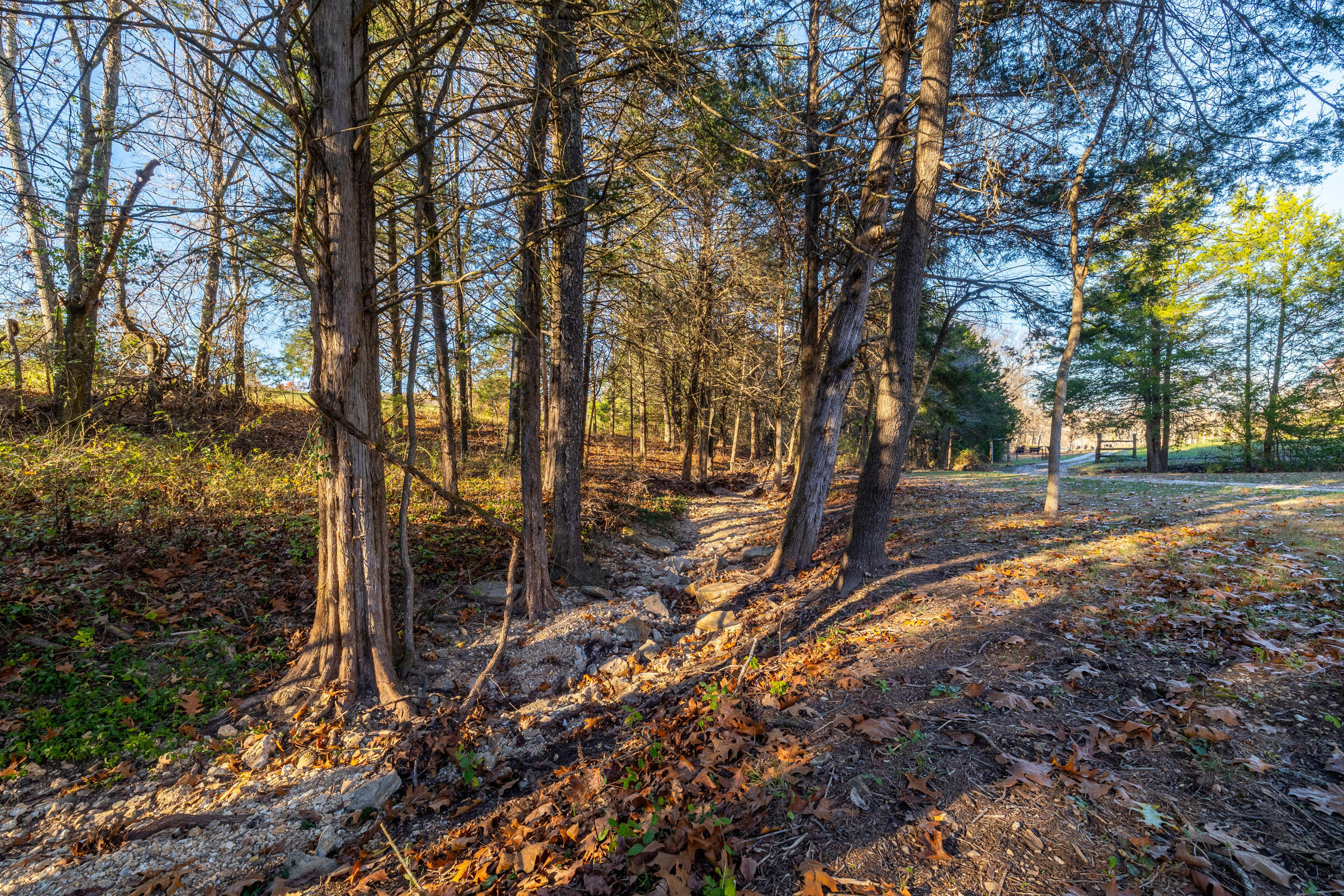2124 Slate Drive Property Photo 8