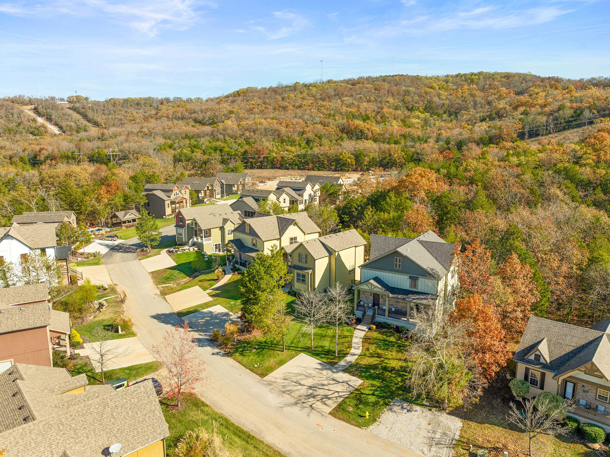 290 Deep Forest Property Photo 15