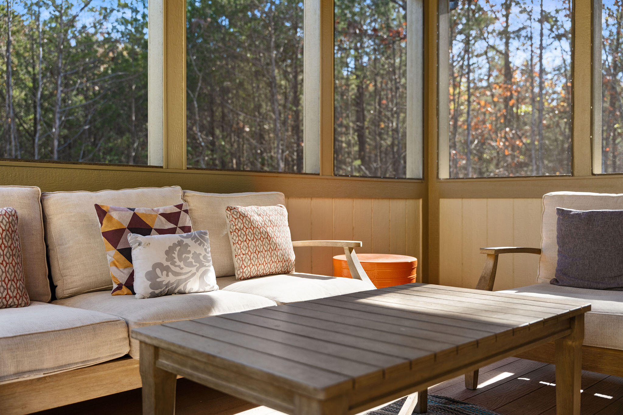 290 Deep Forest Property Photo 38
