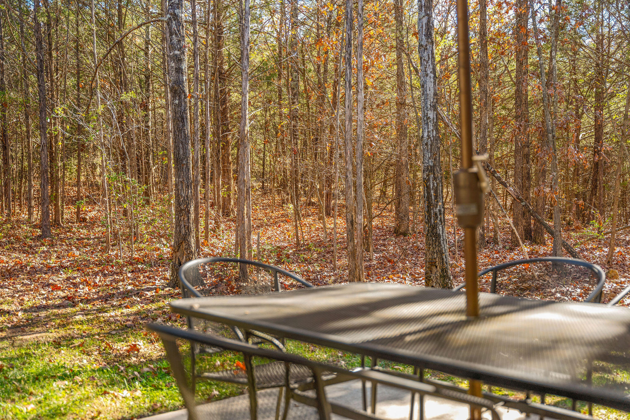 290 Deep Forest Property Photo 39