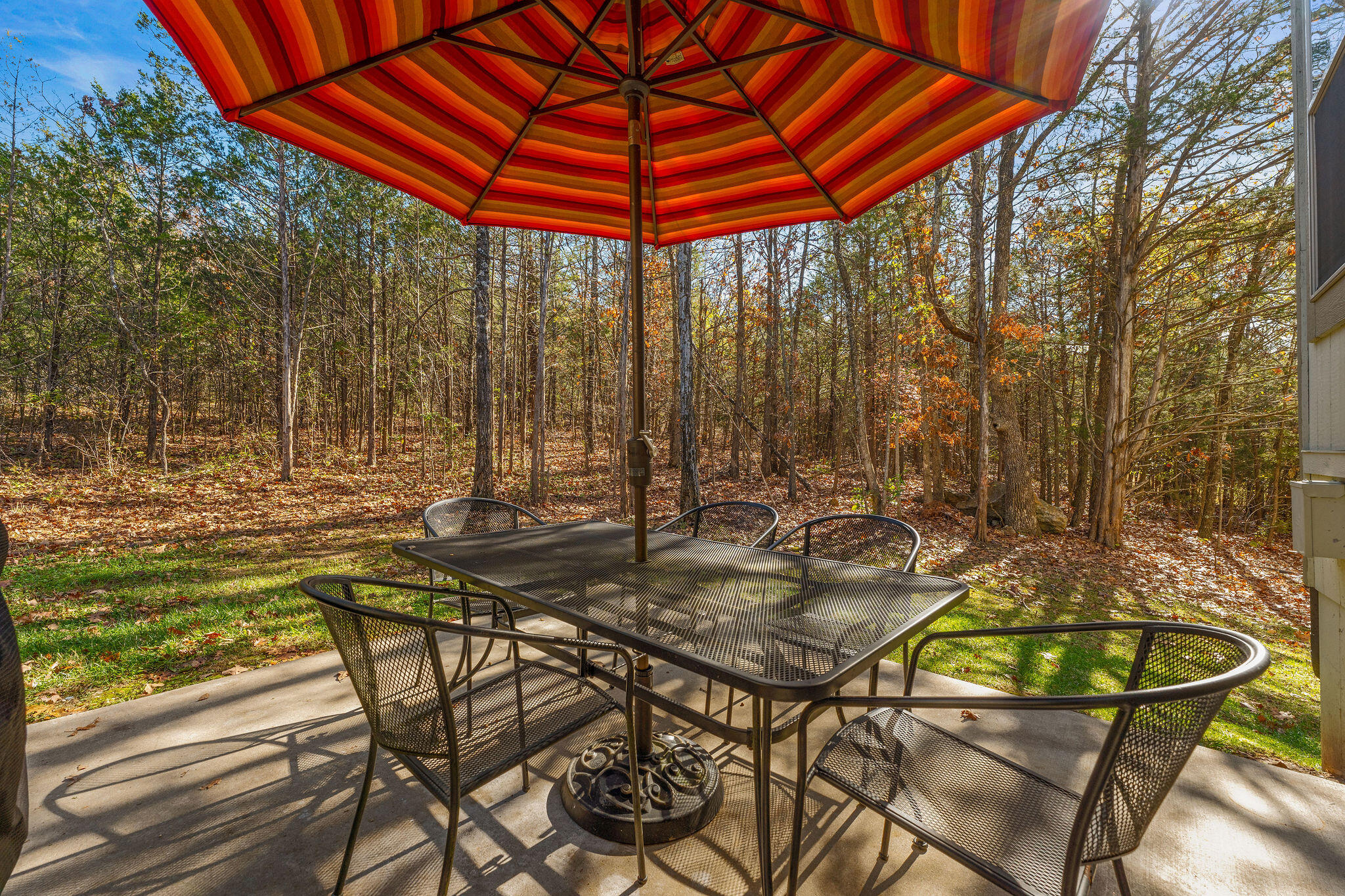 290 Deep Forest Property Photo 73