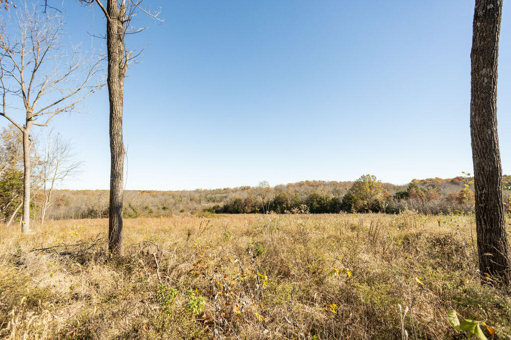000 Highway 123 Property Photo 1