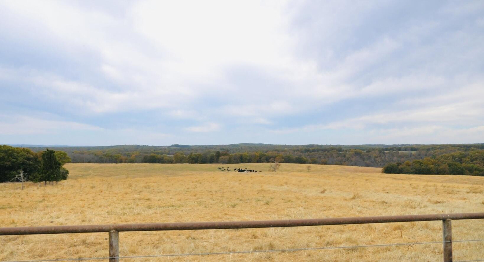 000 County Road 194 Property Photo 8