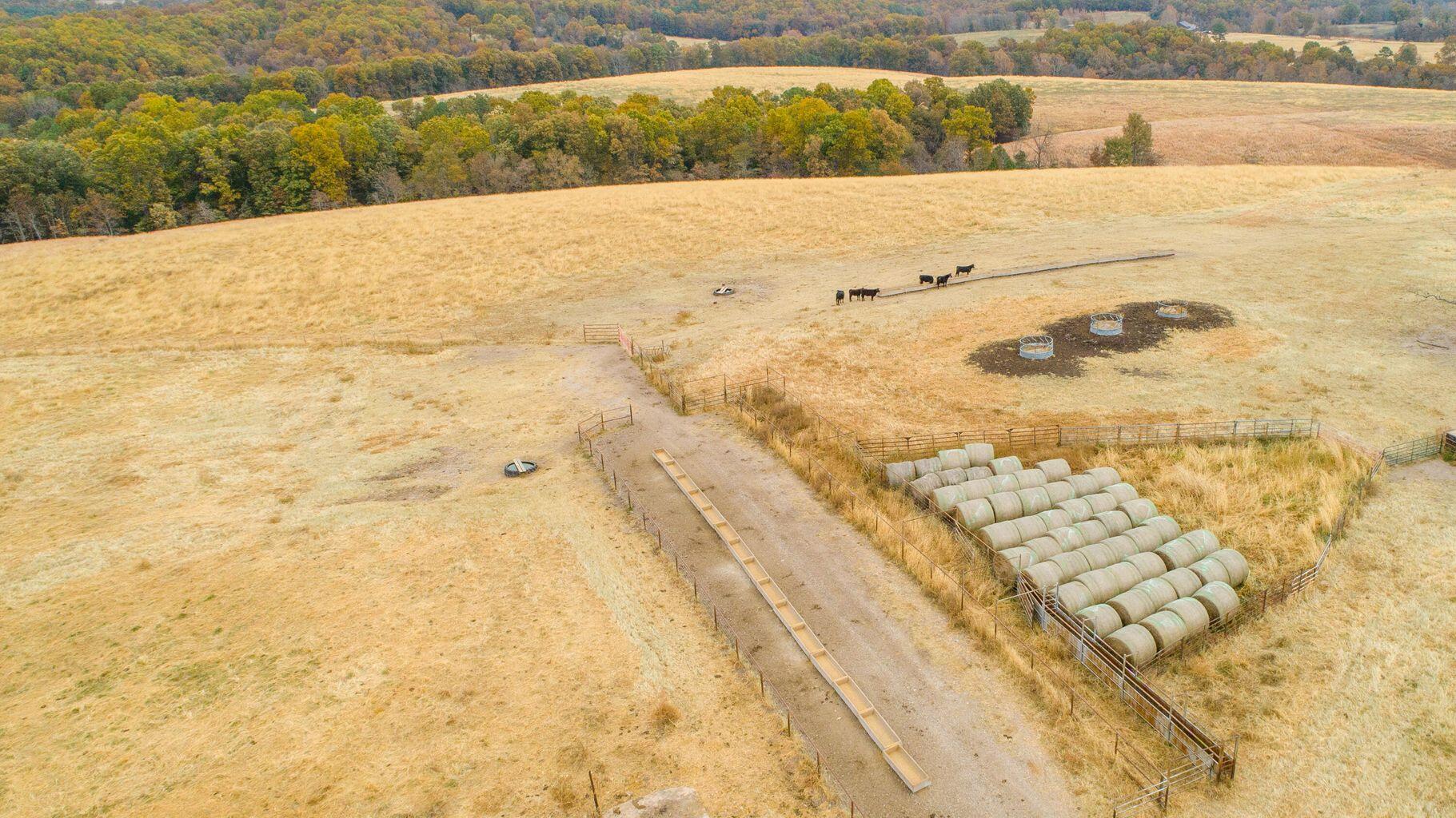 000 County Road 194 Property Photo 13
