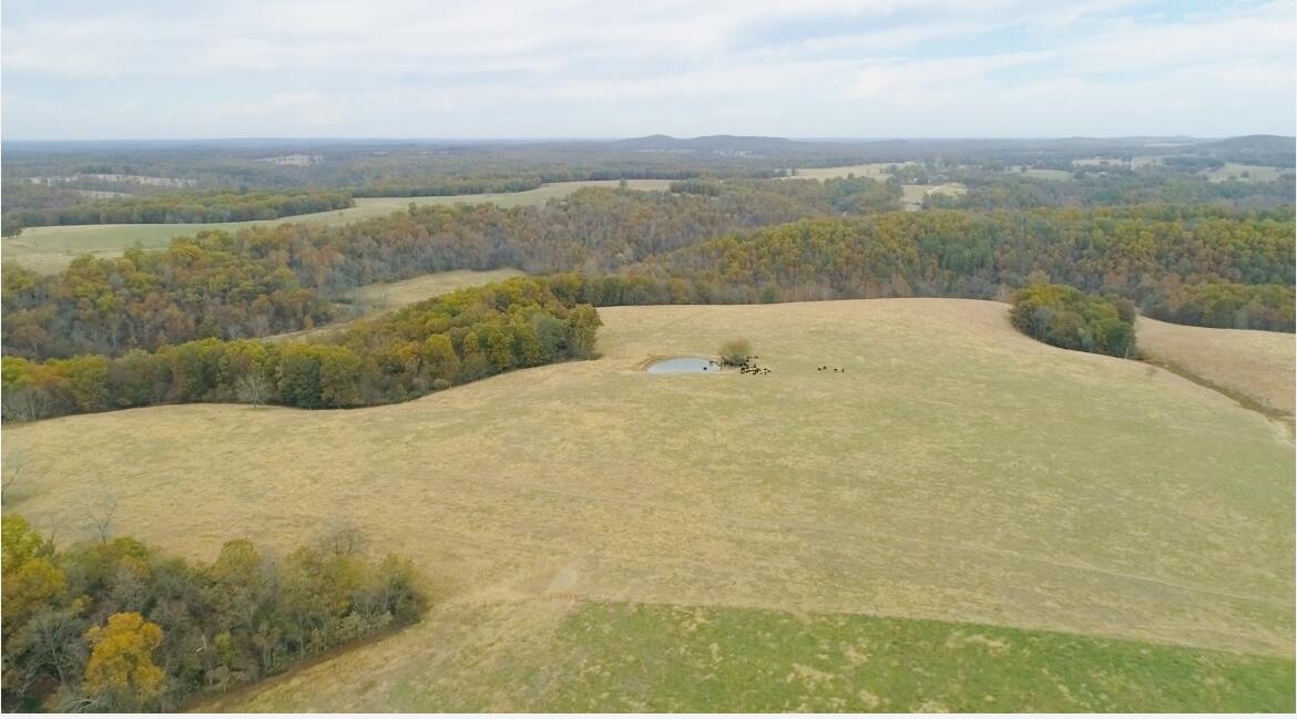 000 County Road 194 Property Photo 23