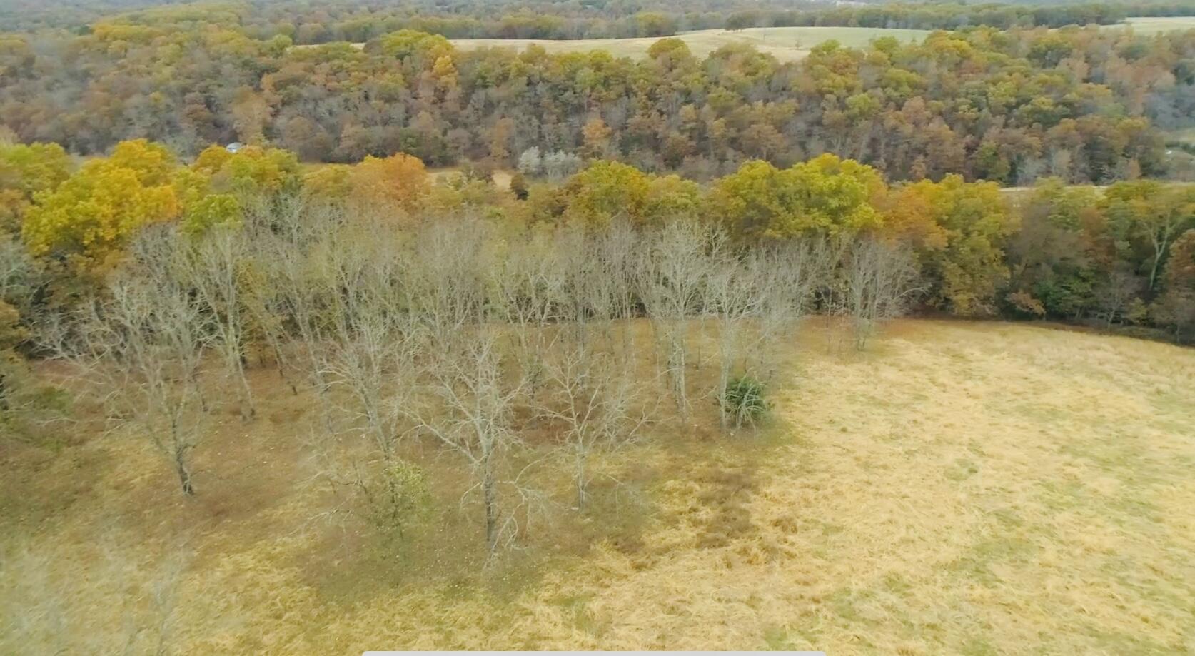 000 County Road 194 Property Photo 31