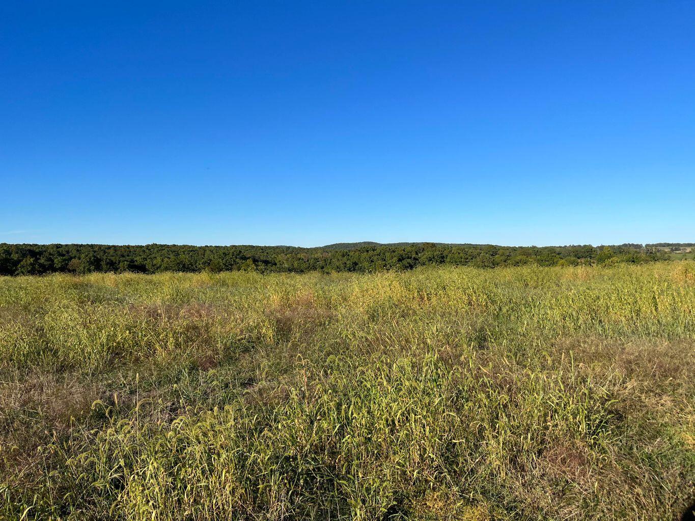 000 County Road 194 Property Photo 35