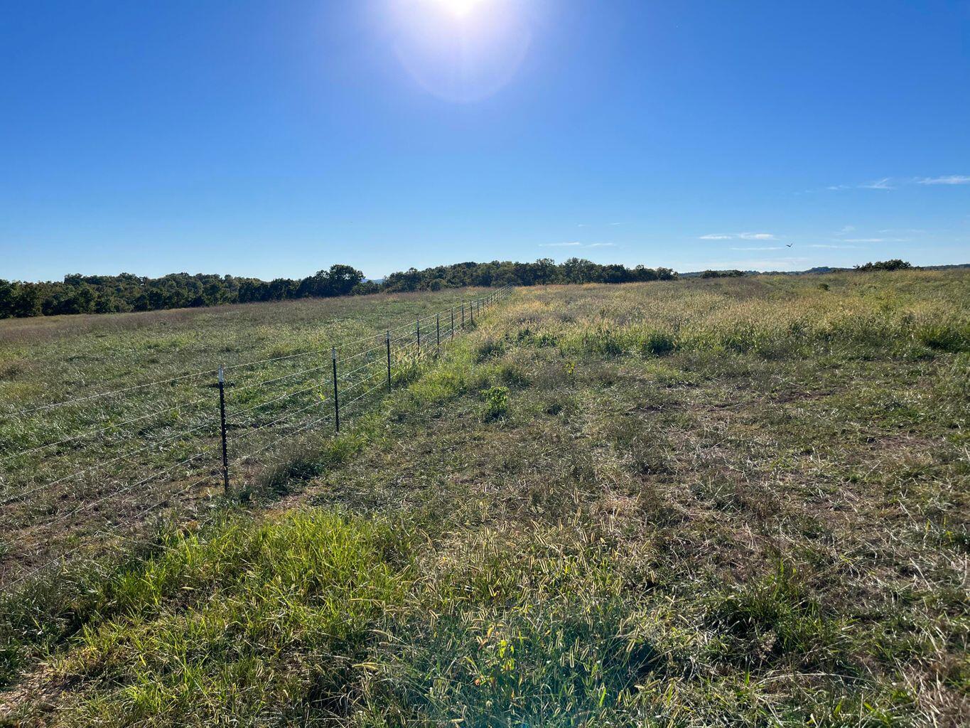 000 County Road 194 Property Photo 36