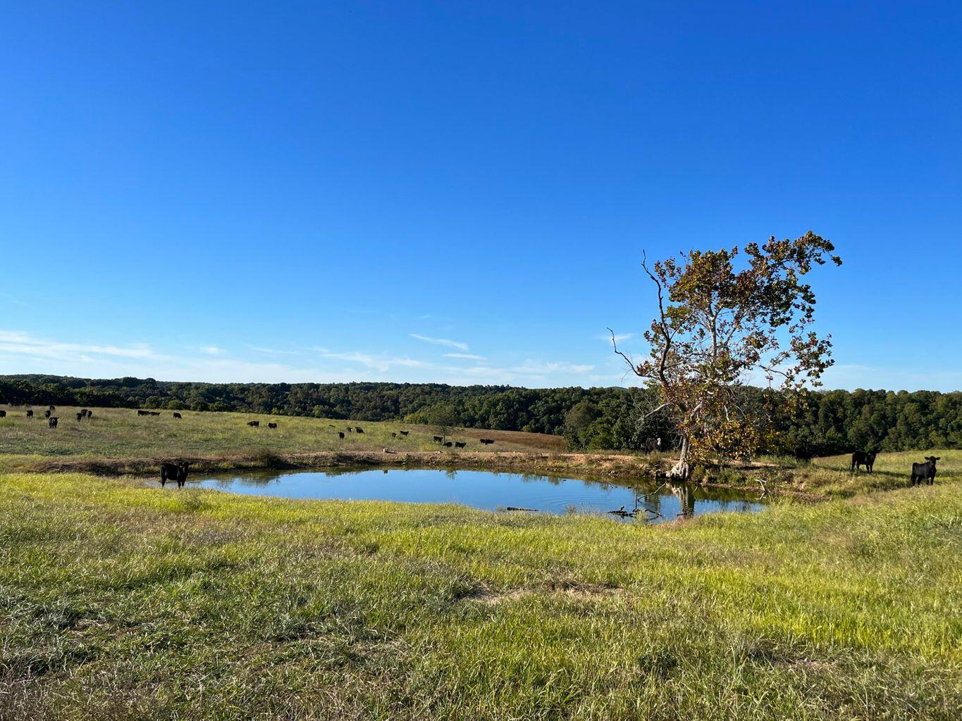 000 County Road 194 Property Photo 40