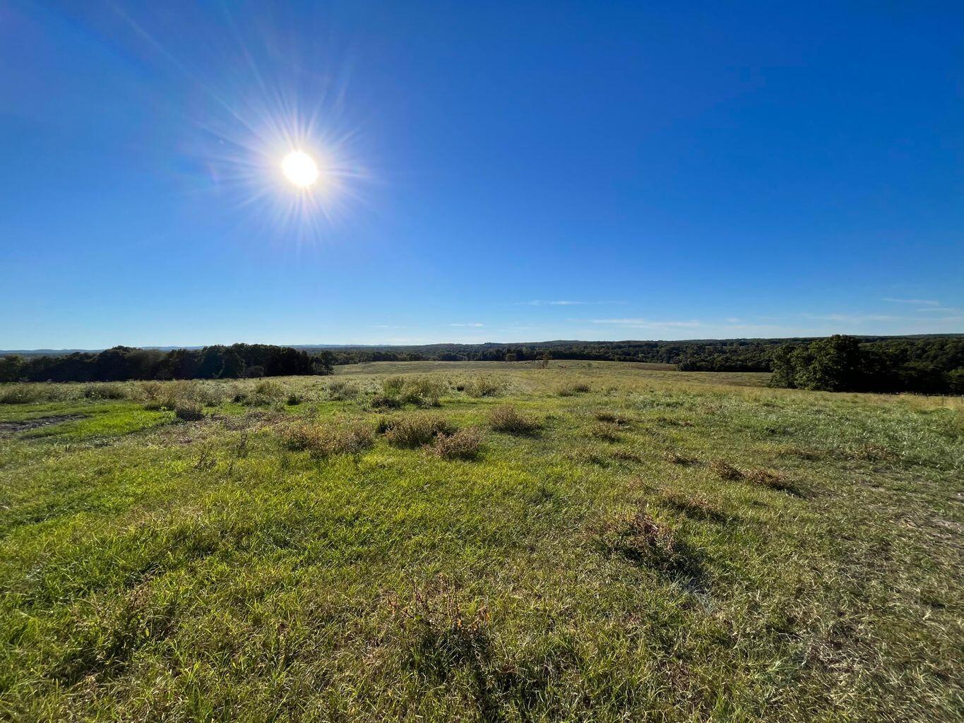 000 County Road 194 Property Photo 41