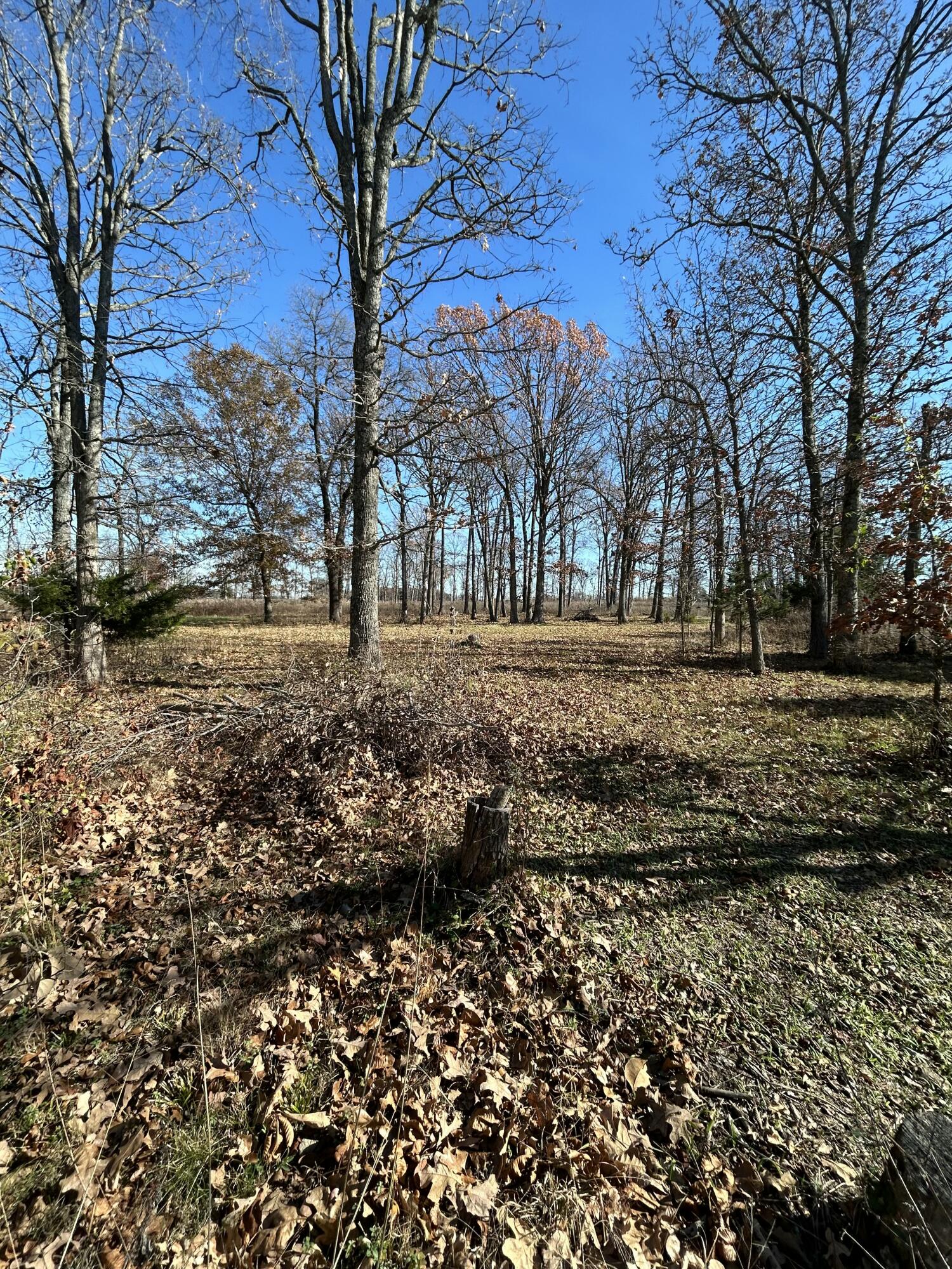 1100 State Highway 125 Property Photo 59