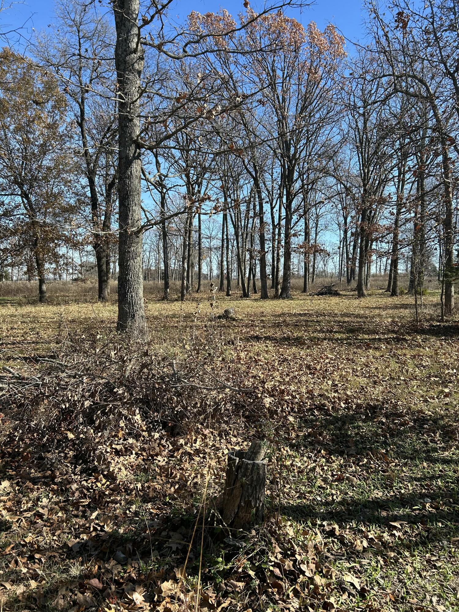 1100 State Highway 125 Property Photo 60