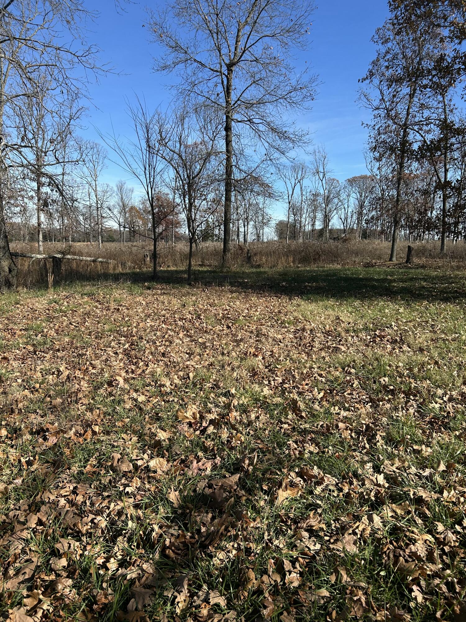 1100 State Highway 125 Property Photo 62