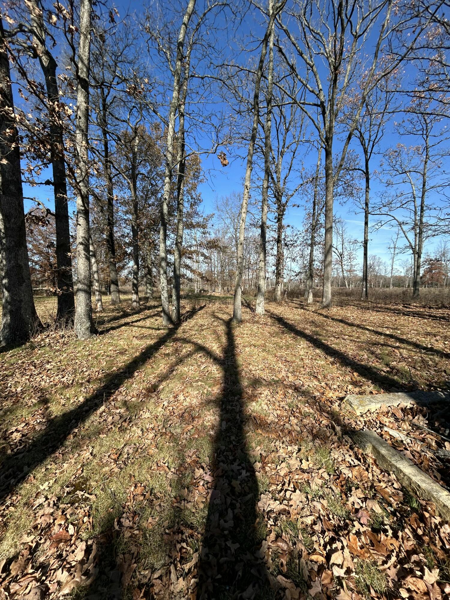 1100 State Highway 125 Property Photo 63