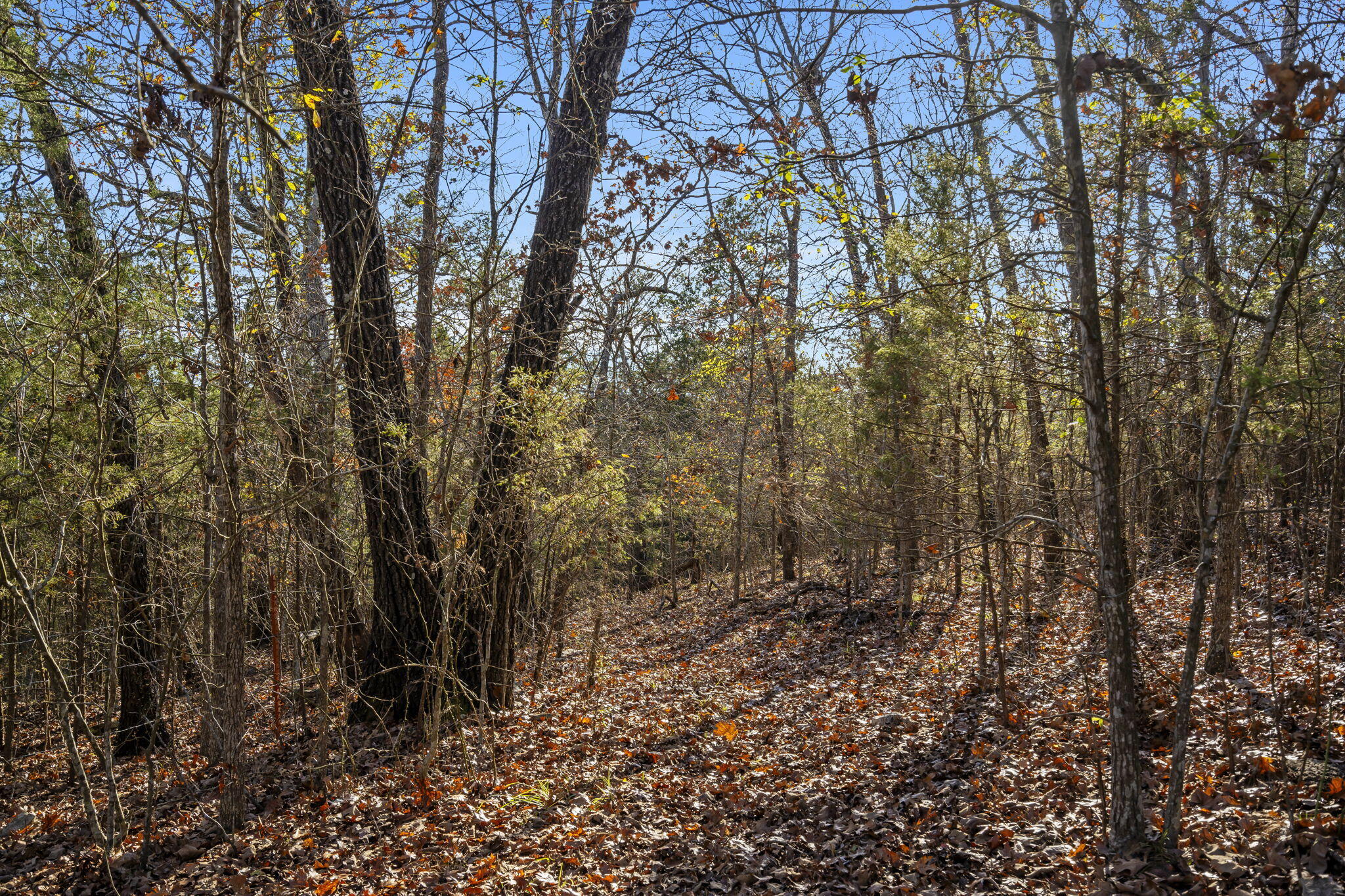 474 Double O Nine Road Property Photo 21