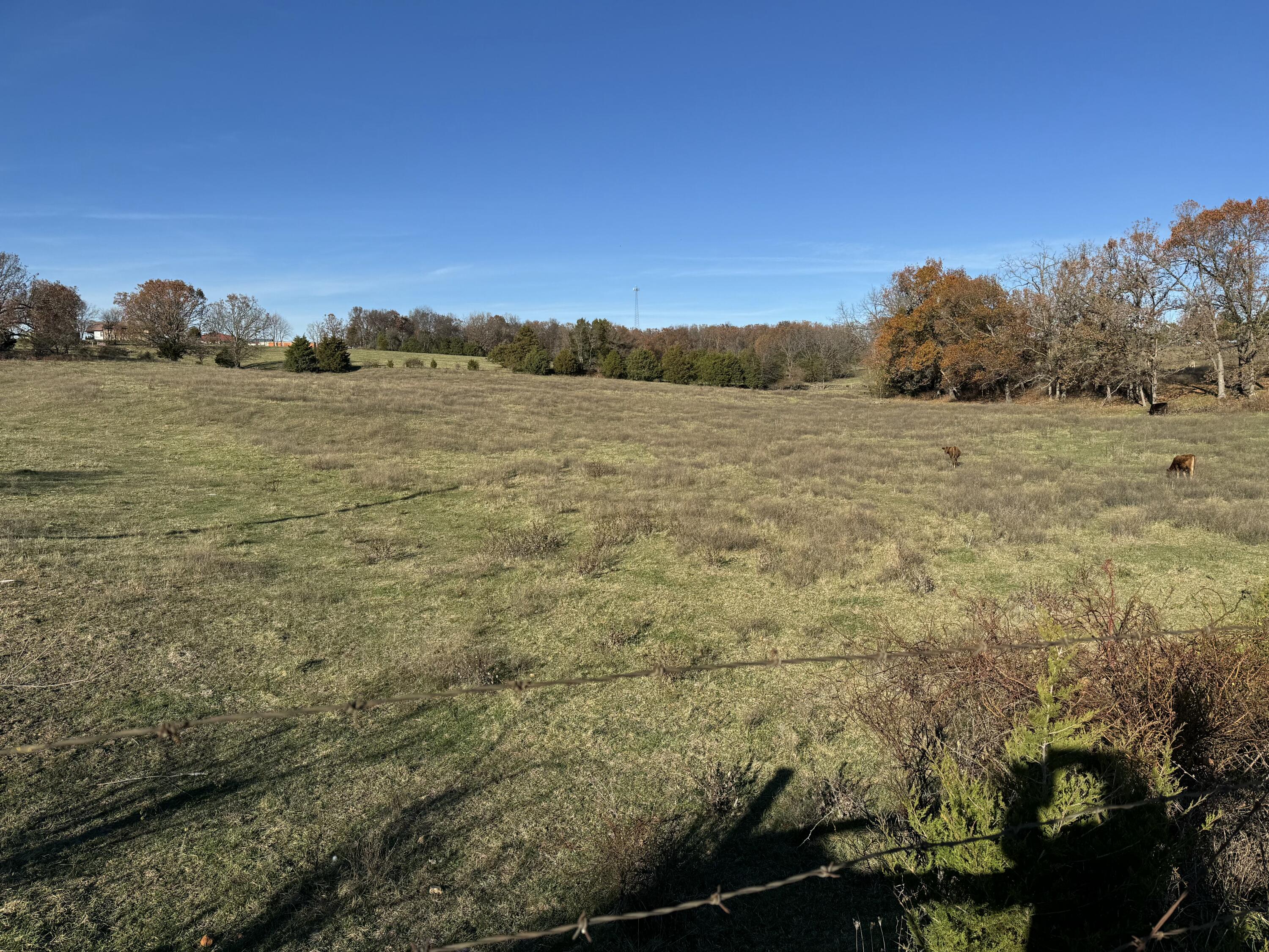 14792 State Highway 37 Property Photo 30
