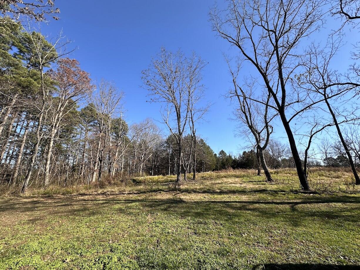 7922 Old Alton Road Property Photo 15