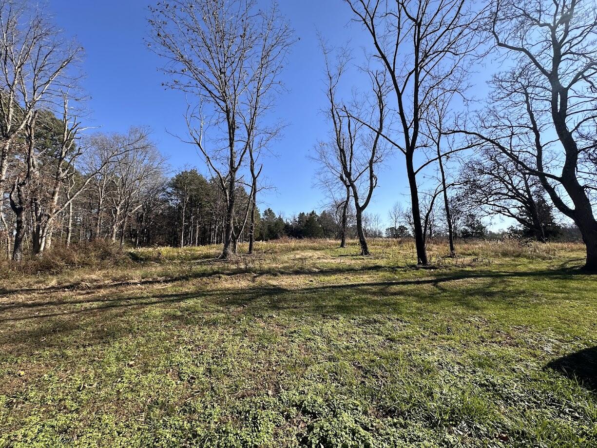 7922 Old Alton Road Property Photo 16