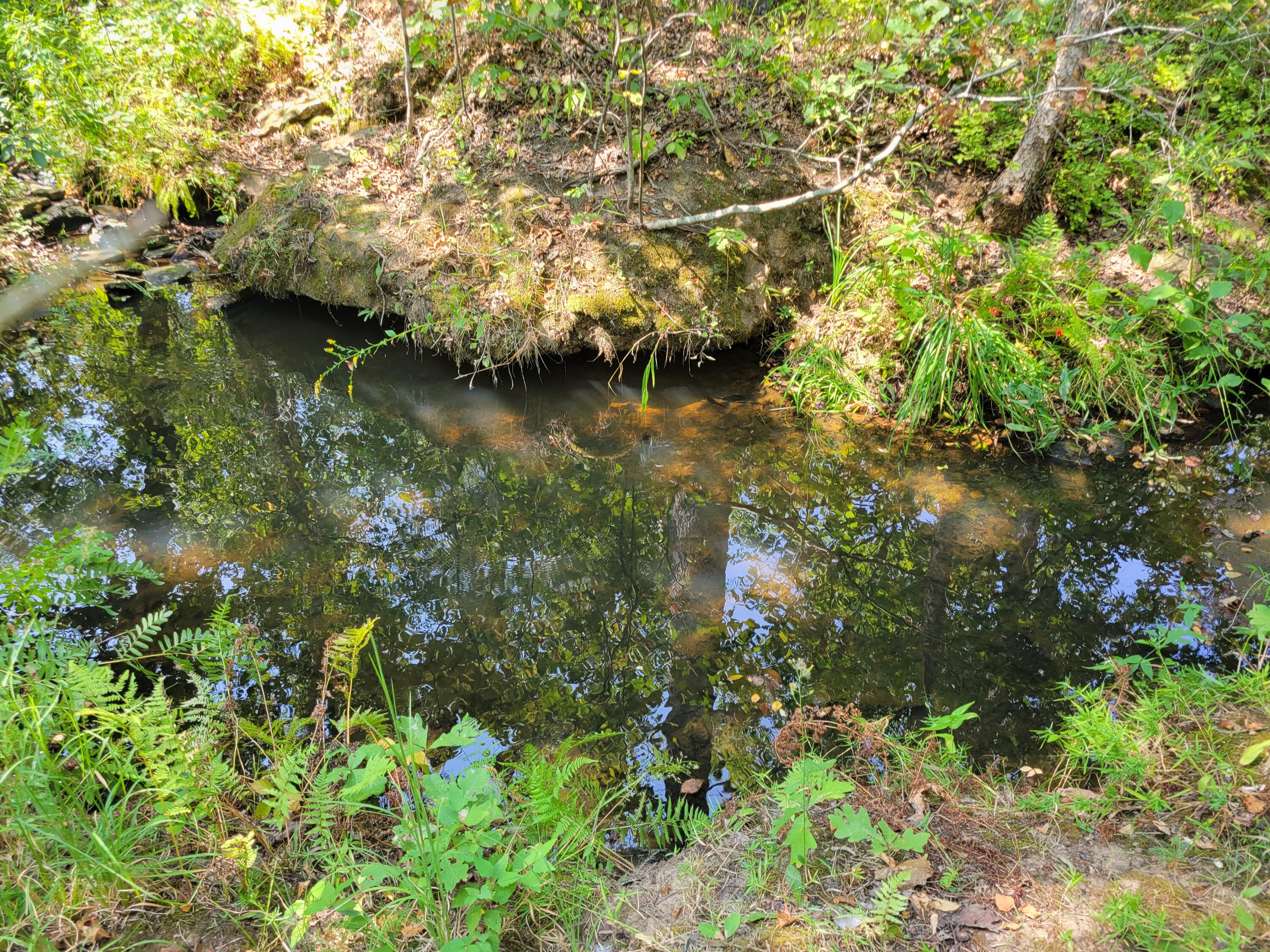 10900 South 351 Road Property Photo 18