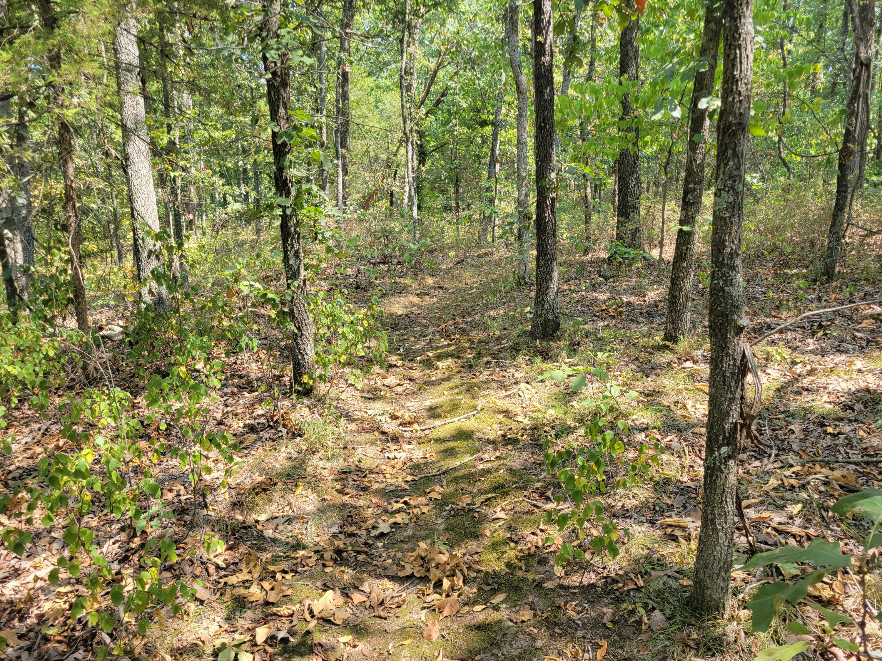 10900 South 351 Road Property Photo 24