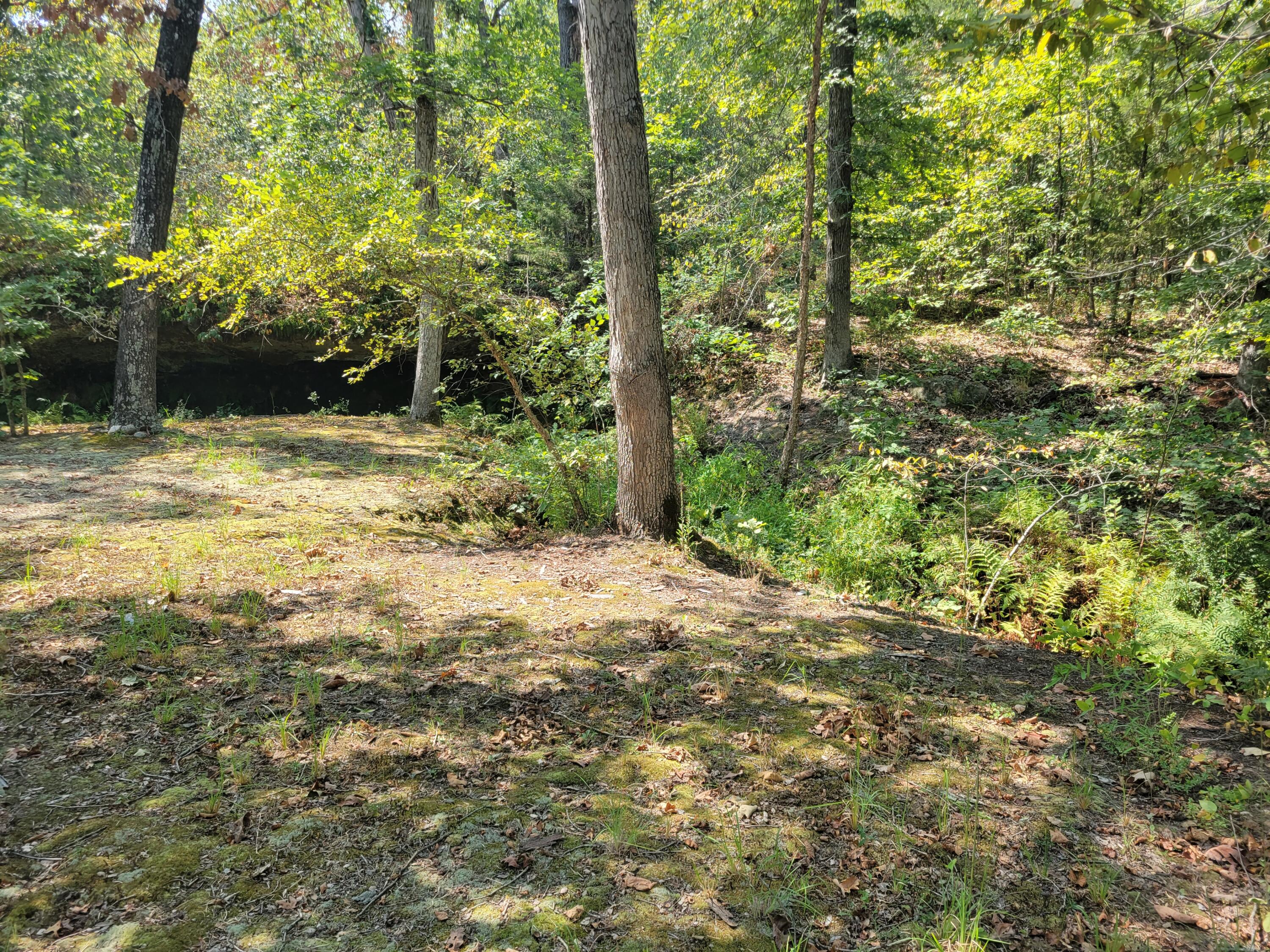 10900 South 351 Road Property Photo 25