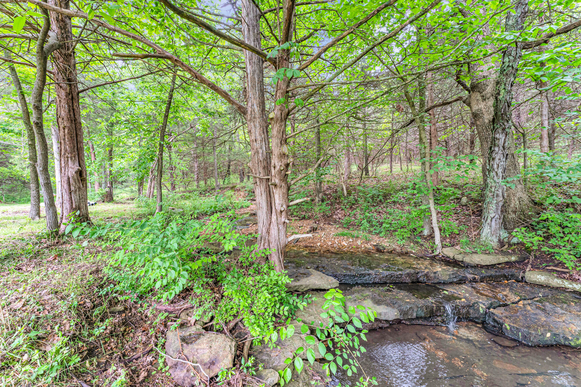 7222 North Farm Road 203 Property Photo 9