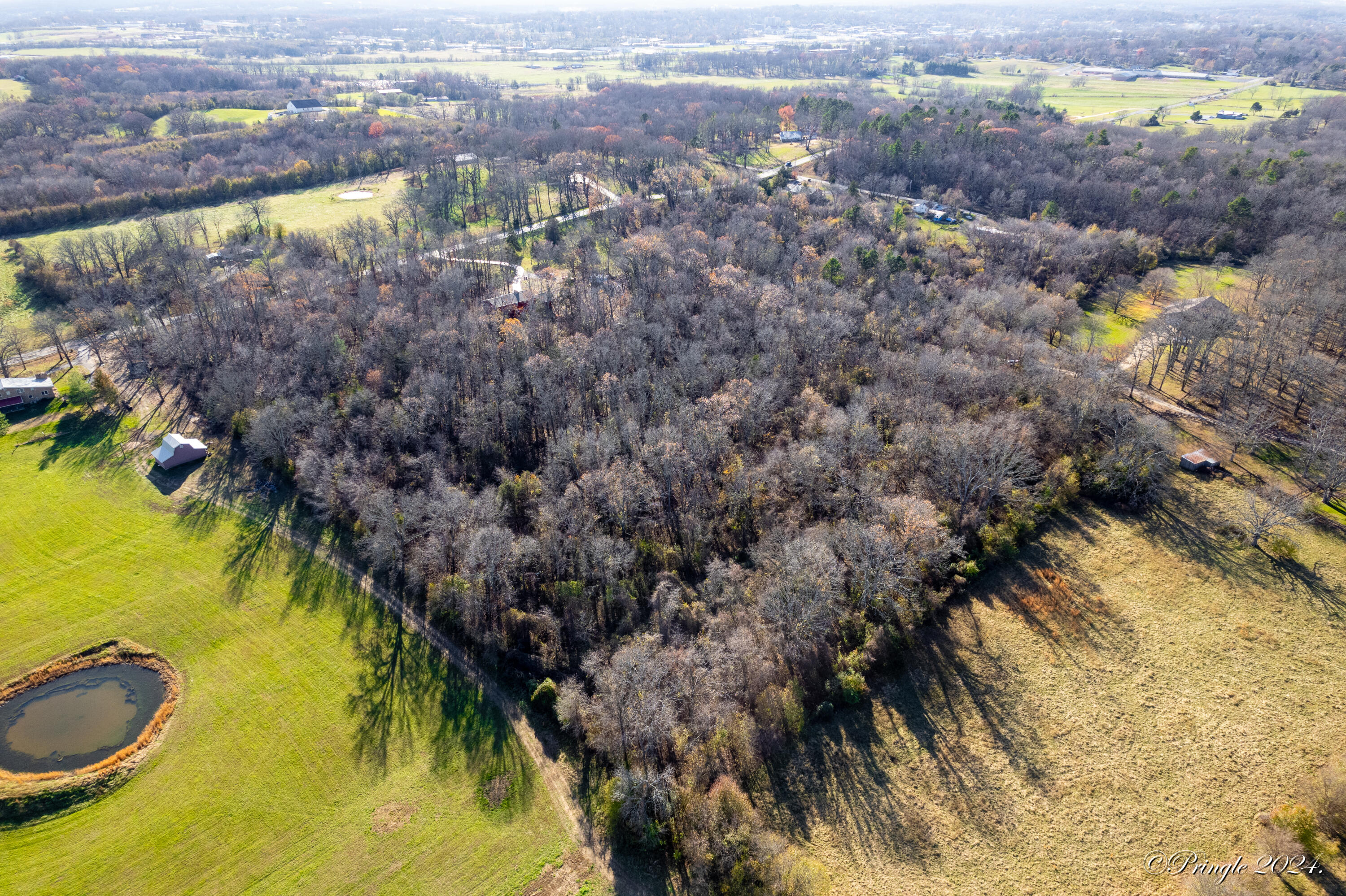000 East Us Highway 160 Property Photo 7