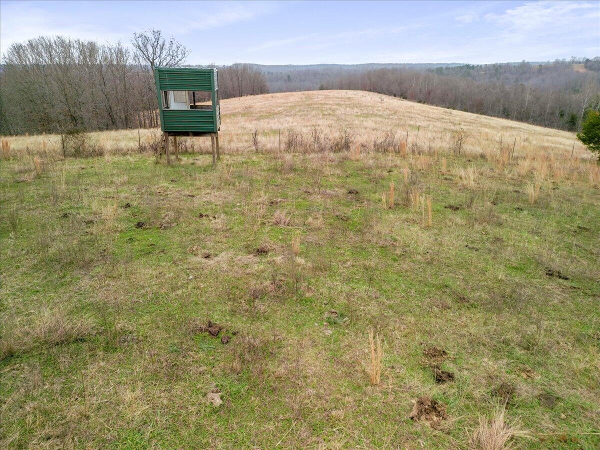 000 County Road 7040 Property Photo 7