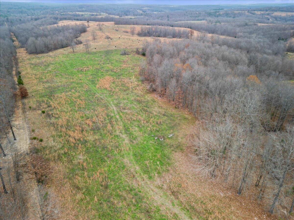000 County Road 7040 Property Photo 15