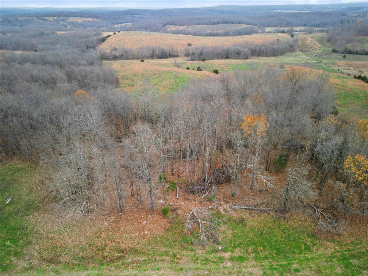 000 County Road 7040 Property Photo 34