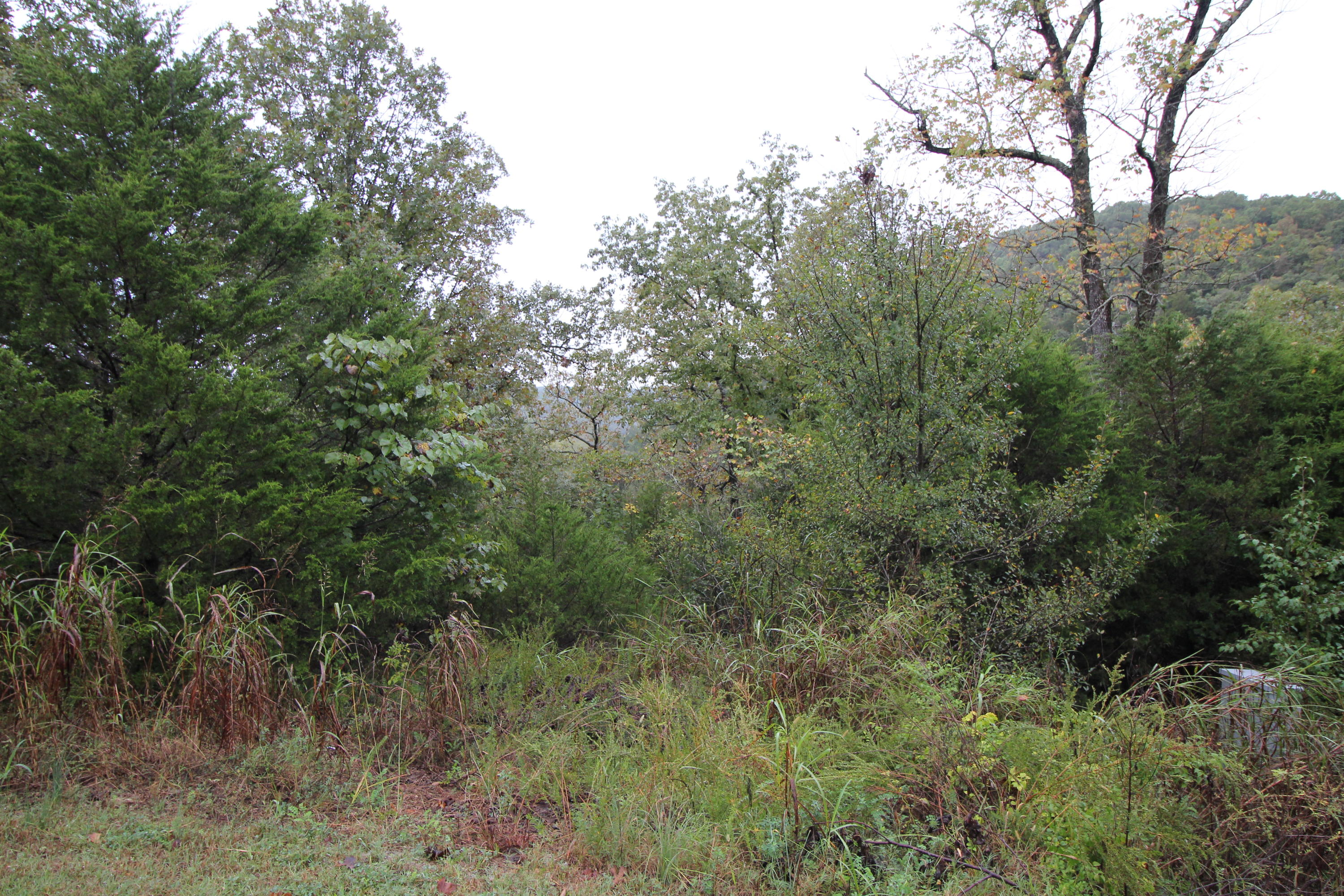 Lot 3 Silver Oak Way Property Photo 1