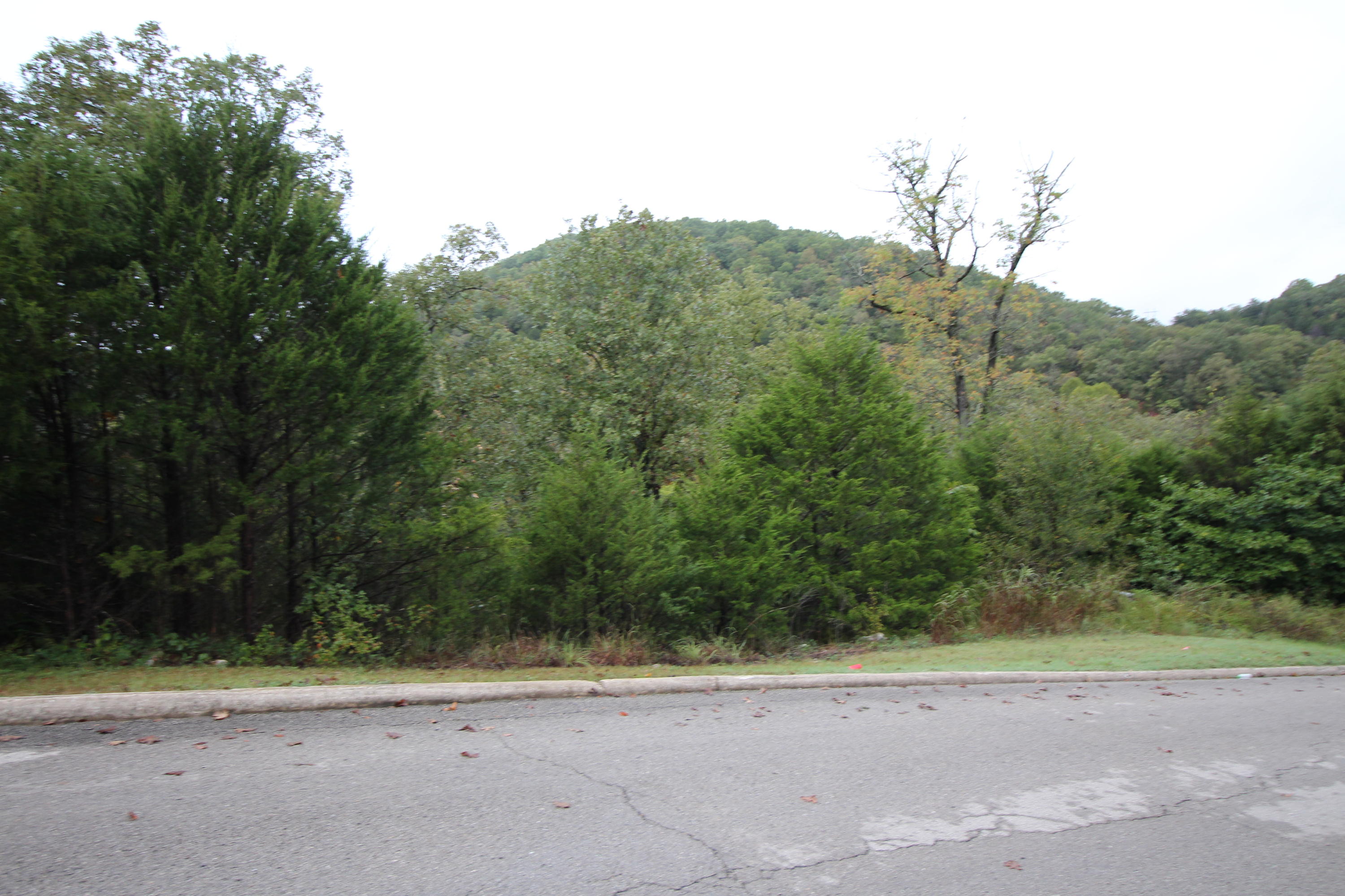 Lot 3 Silver Oak Way Property Photo 2