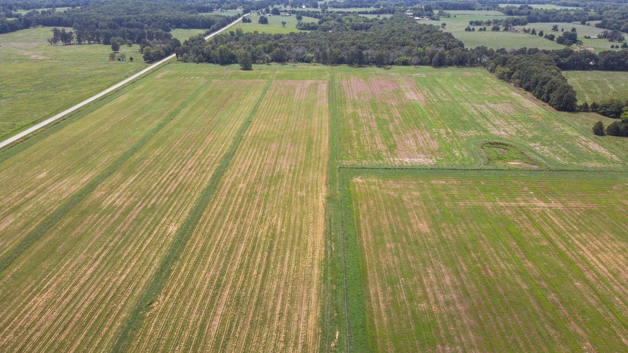 000 State Highway Ff Property Photo 4