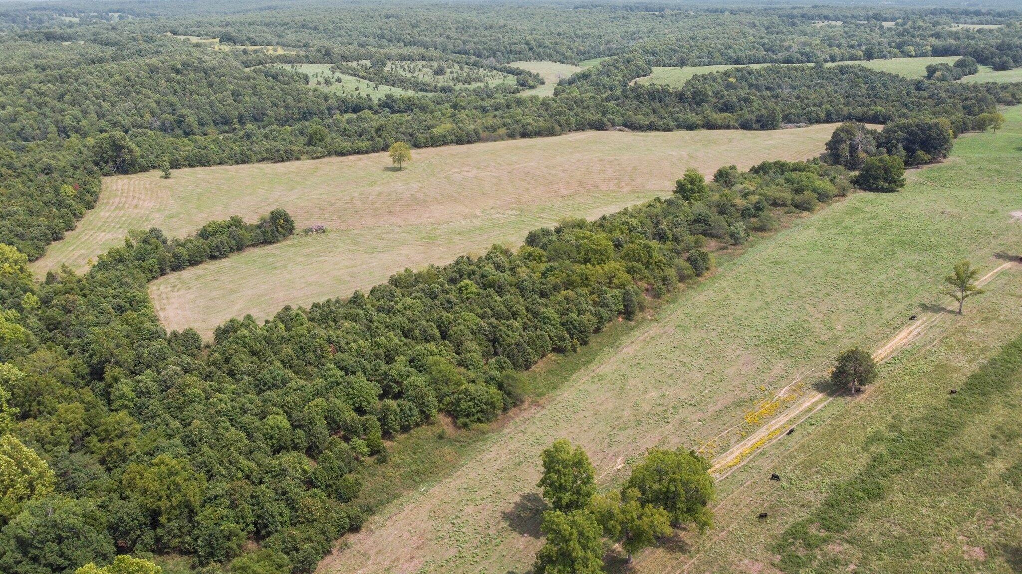 000 State Highway Ff Property Photo 13