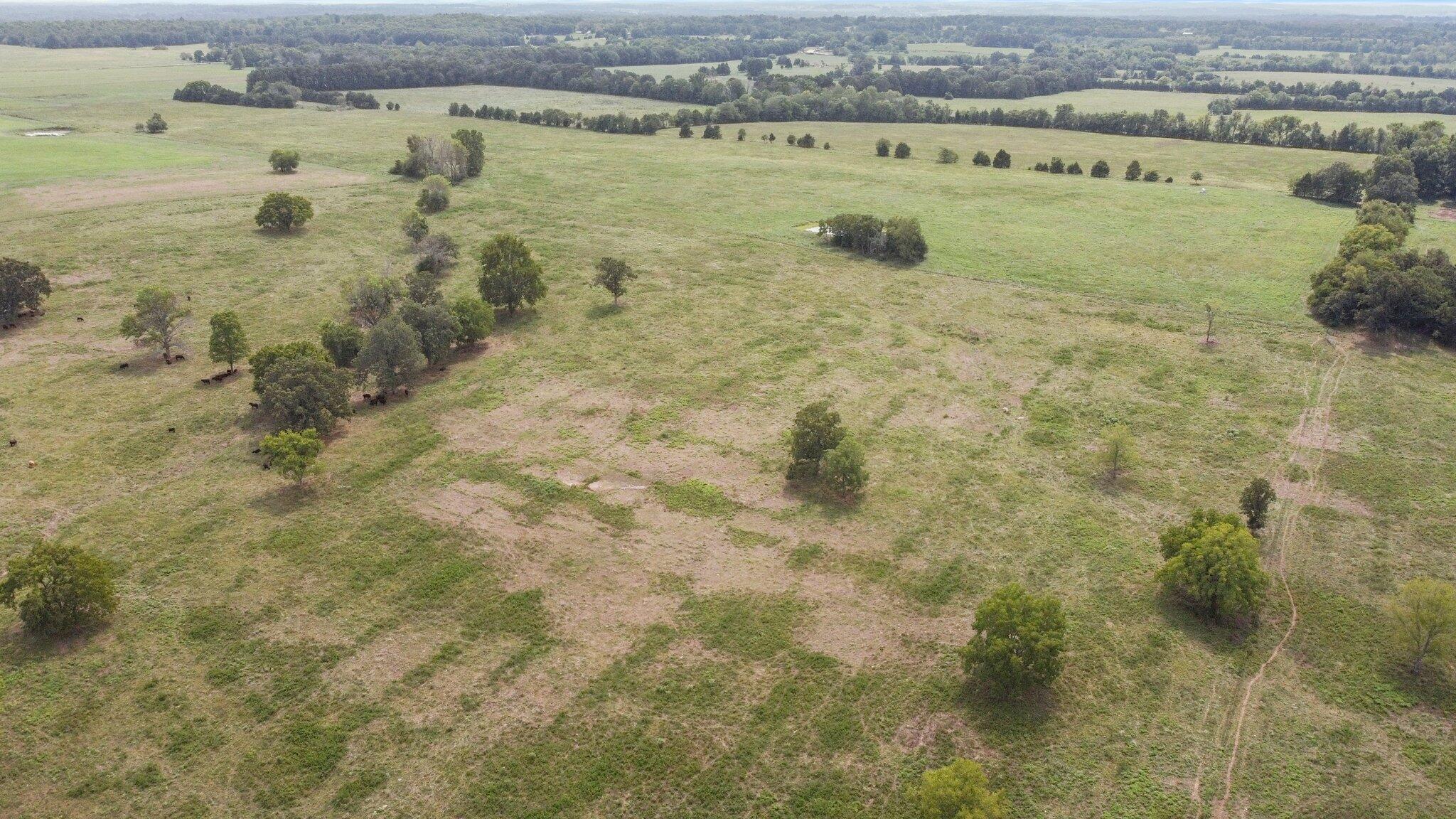 000 State Highway Ff Property Photo 14