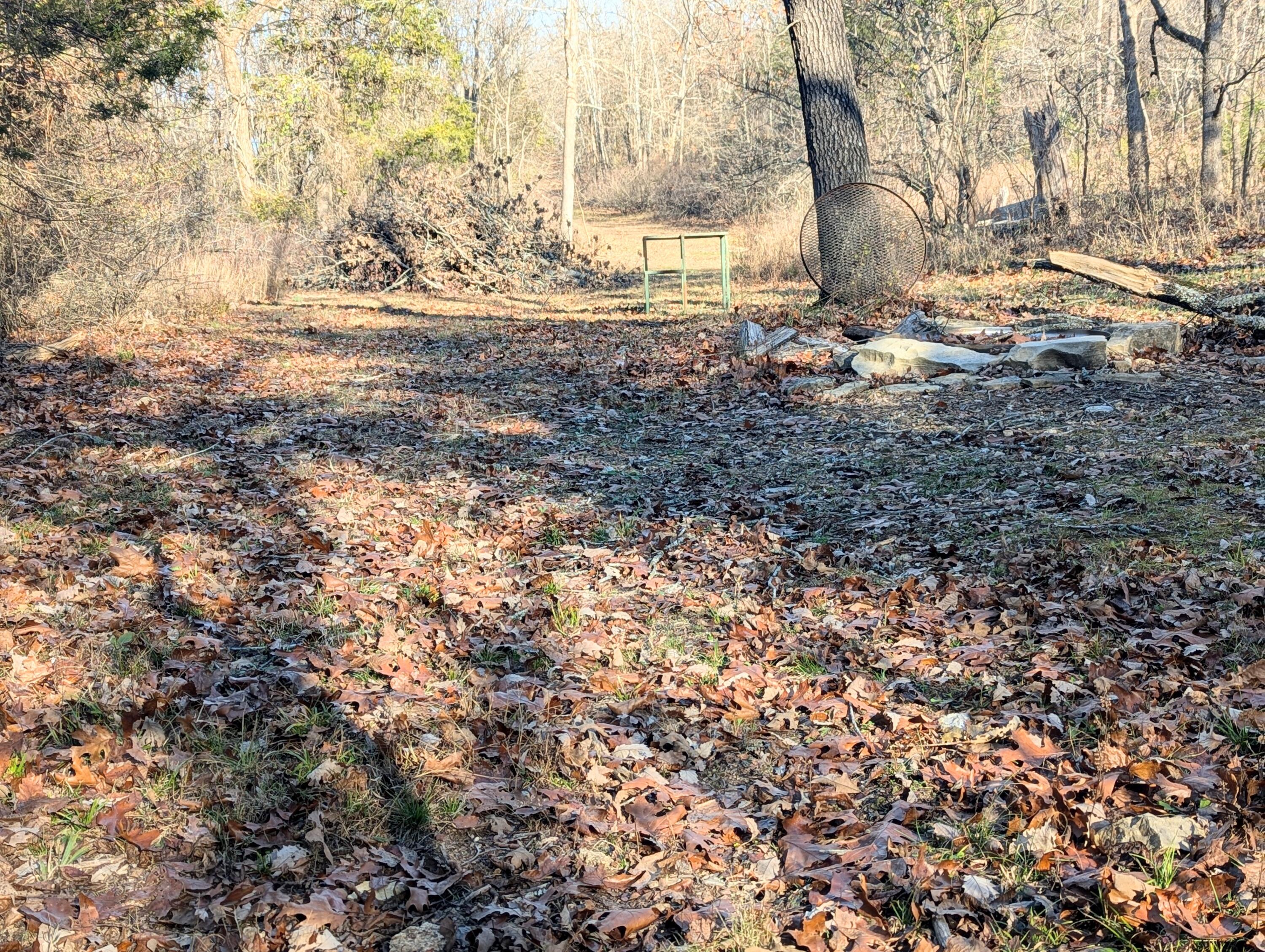 26517 Farm Road 1212 Property Photo 44