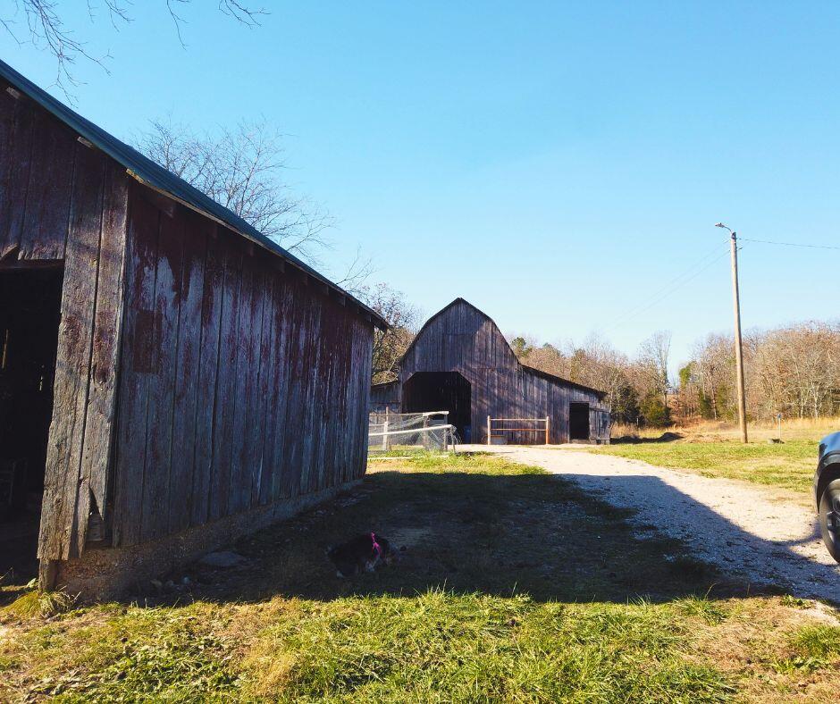1901 Harlow Road Property Photo 21
