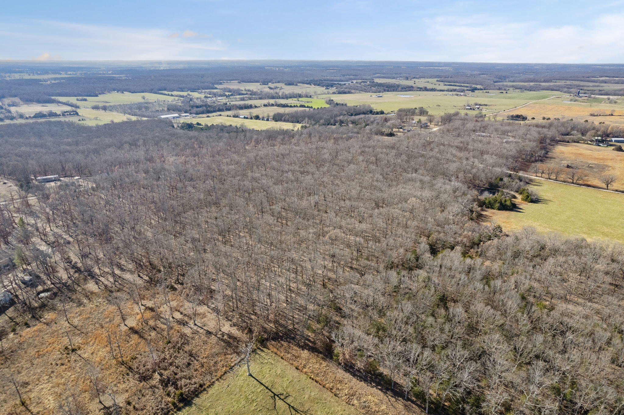 000 County Road B-250 Property Photo 6