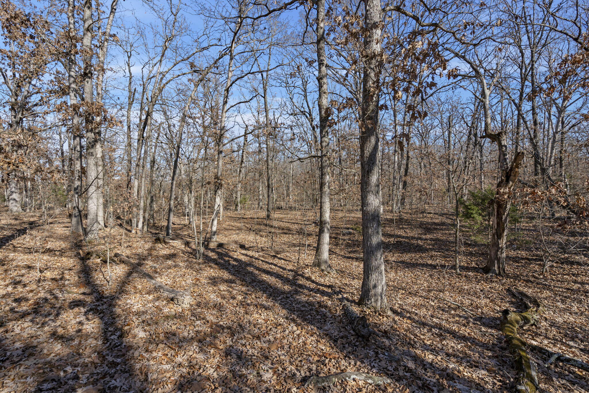 000 County Road B-250 Property Photo 8