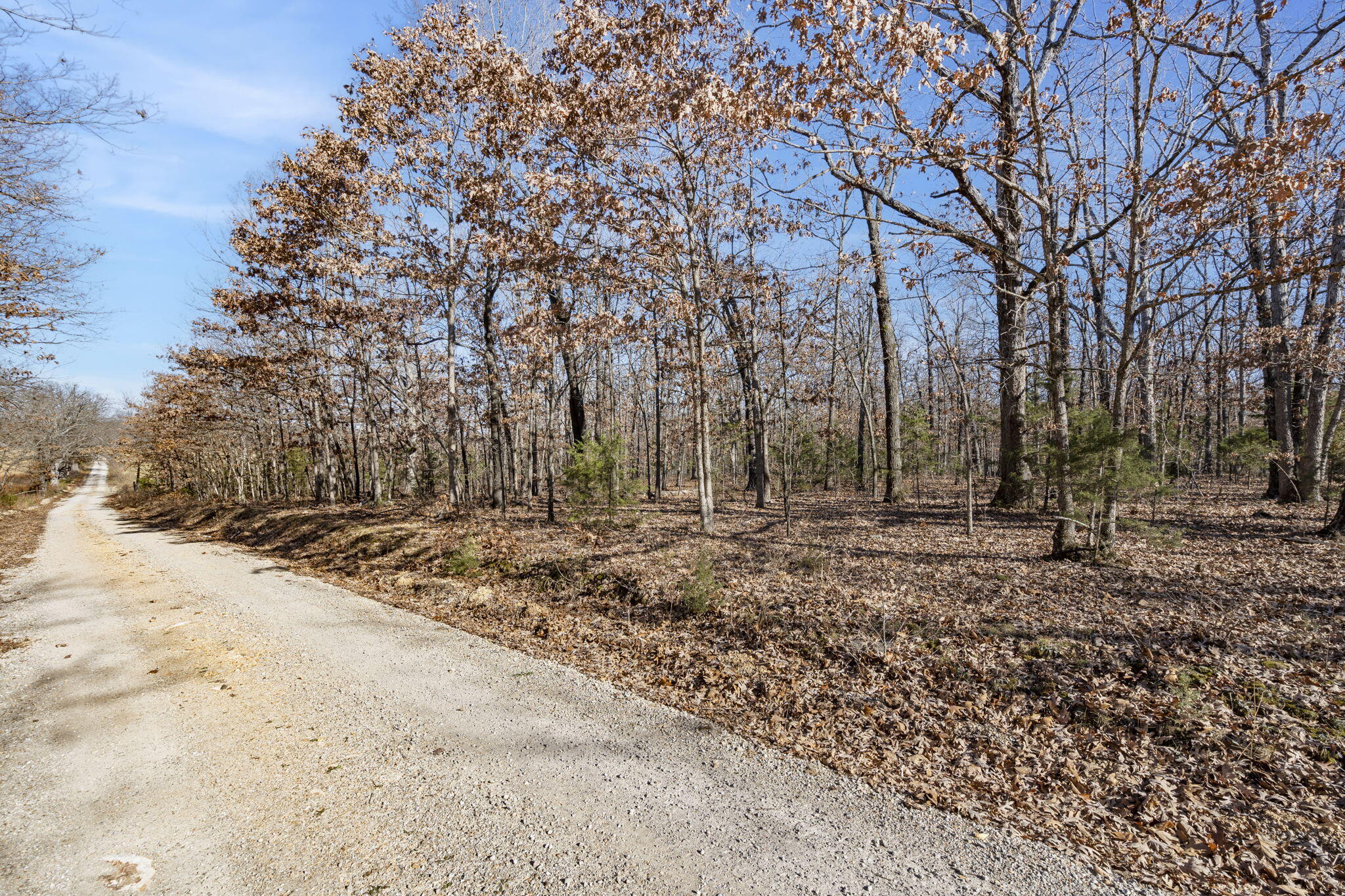 000 County Road B-250 Property Photo 9