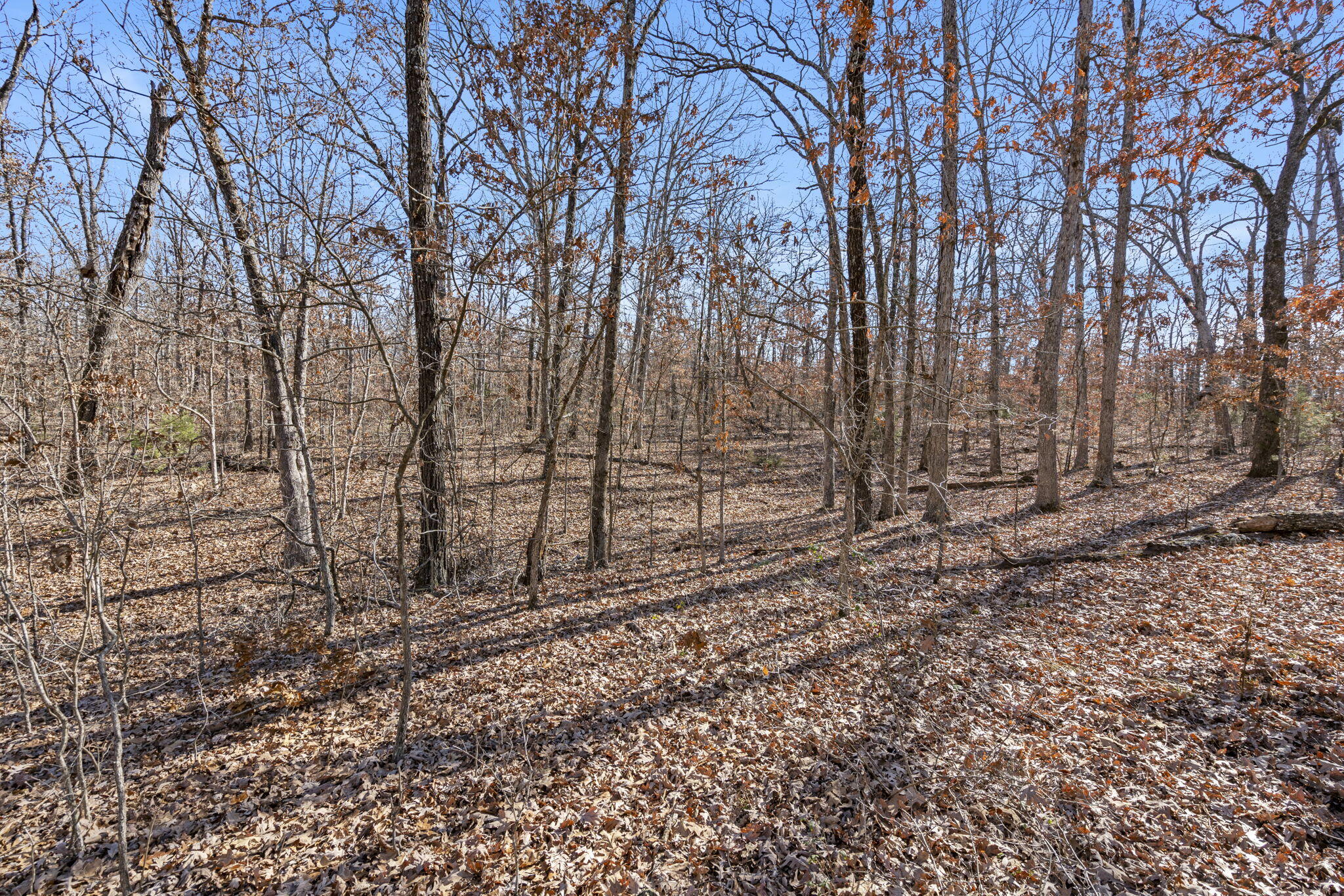 000 County Road B-250 Property Photo 10